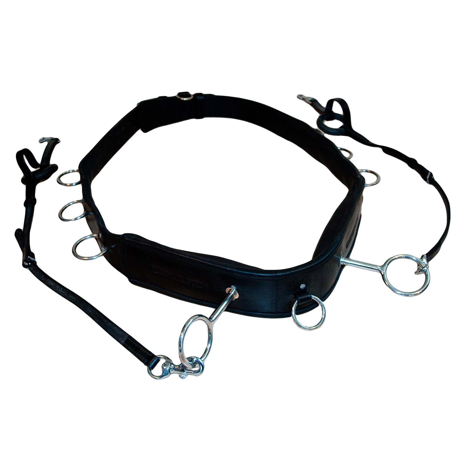 Karlslund longeringsgjord