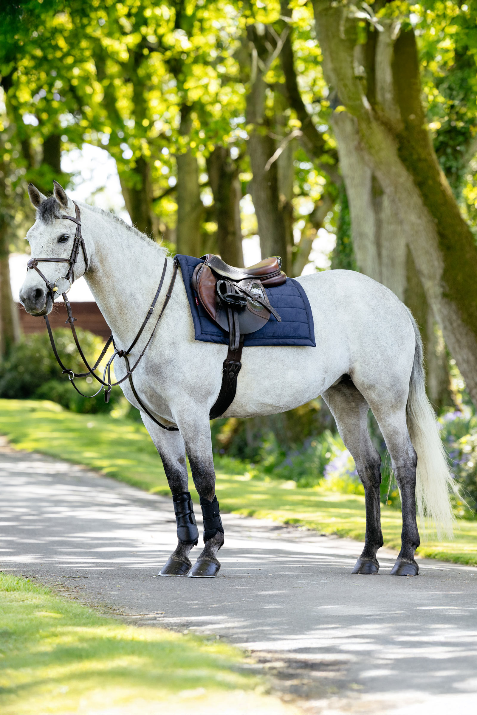 LeMieux Pillow vadderat allroundschabrak