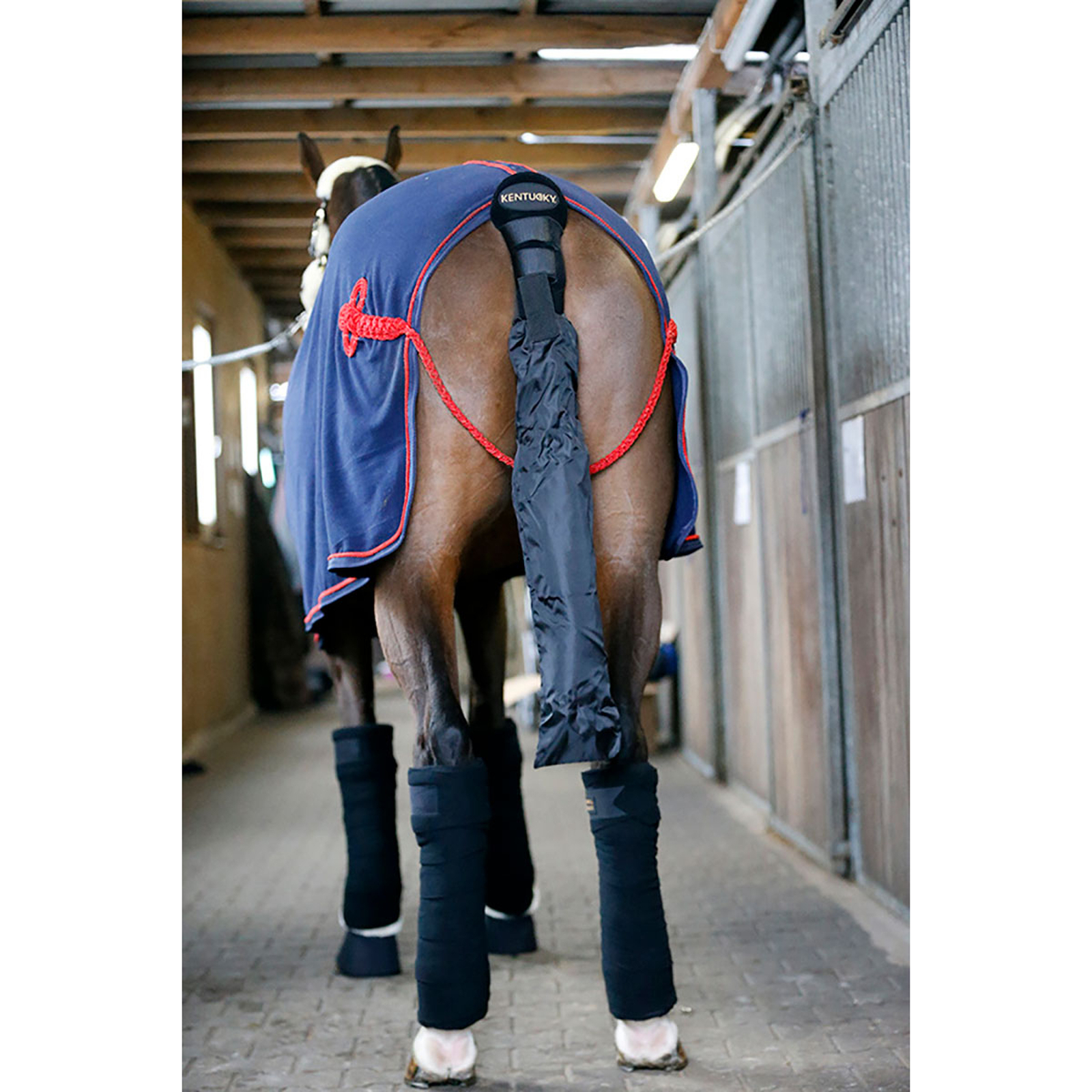 Kentucky Horsewear Svansskydd