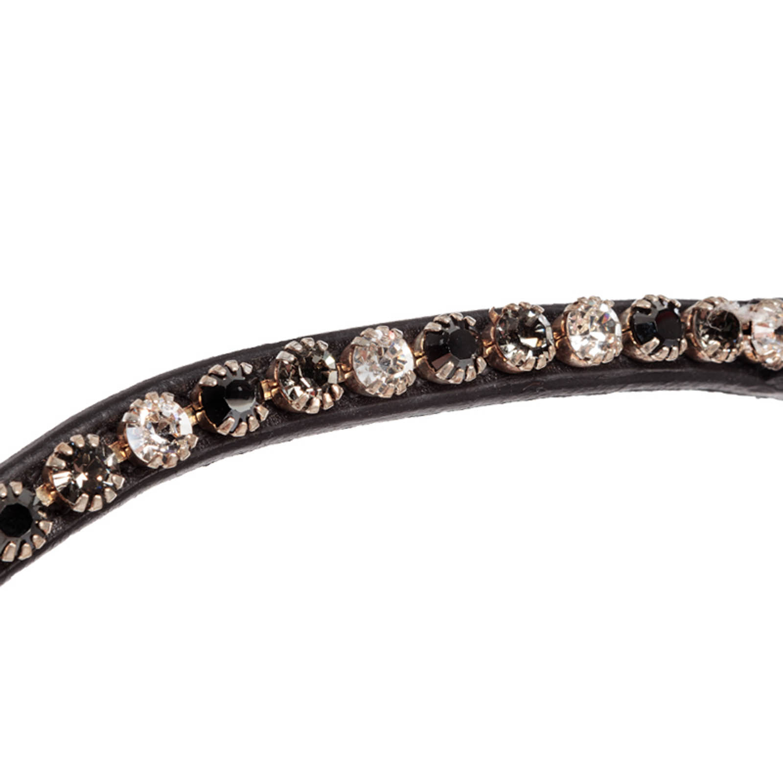 Kavalkade Reyna KavalSH4 tr&auml;ns