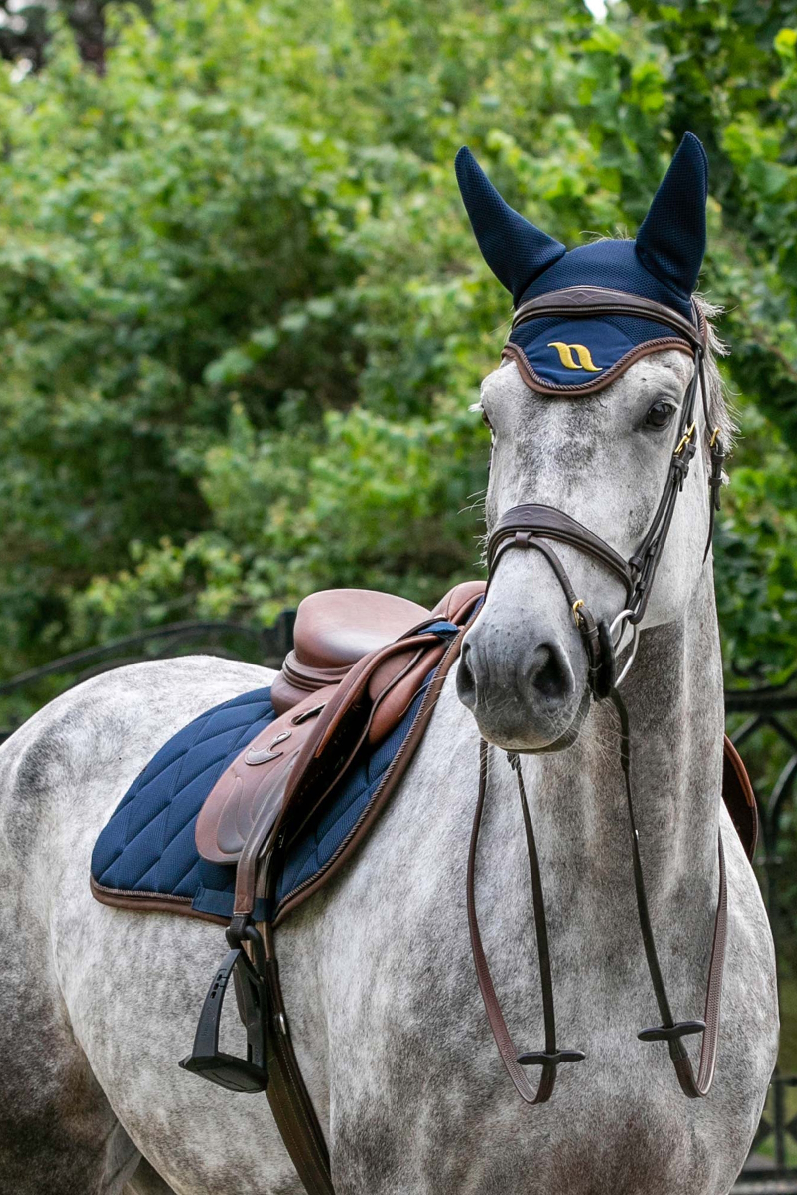 Back on Track Airflow dressyrschabrak