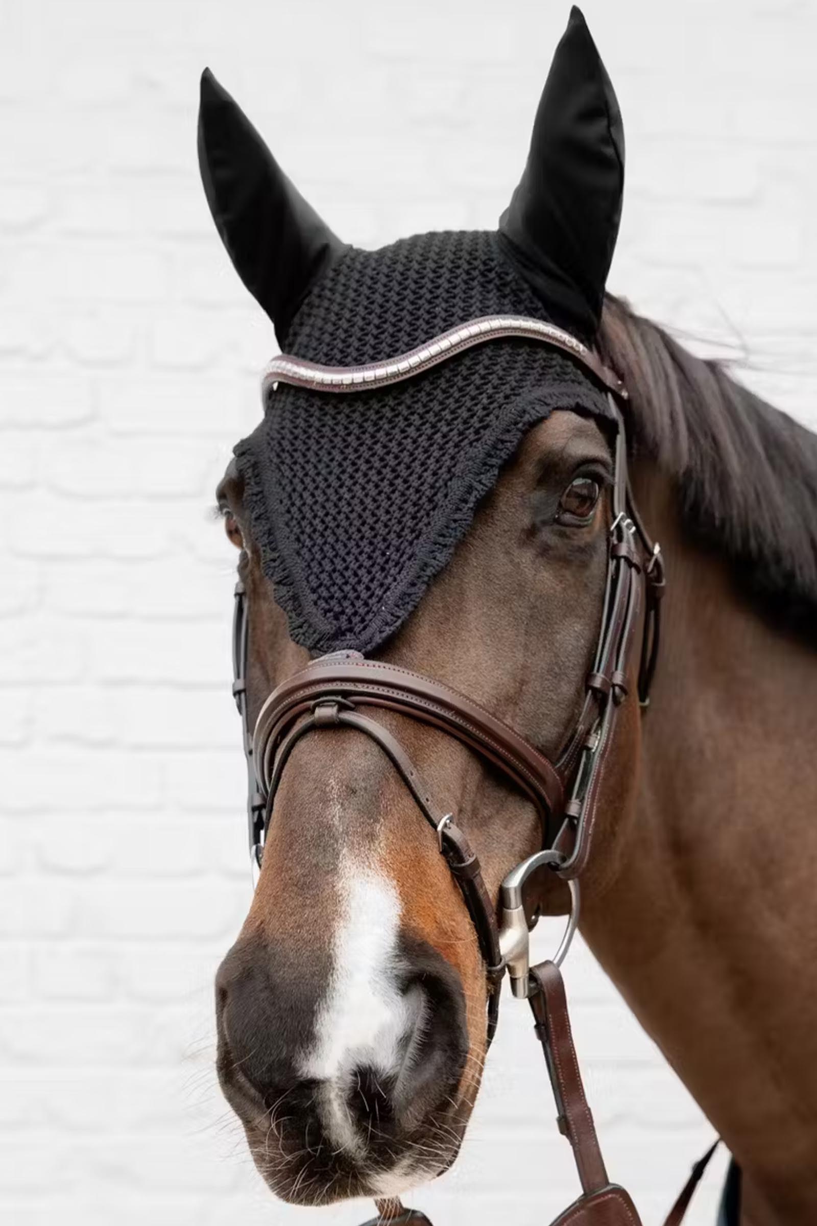 Kentucky l&aring;ng flughuva, ljudd&auml;mpande  