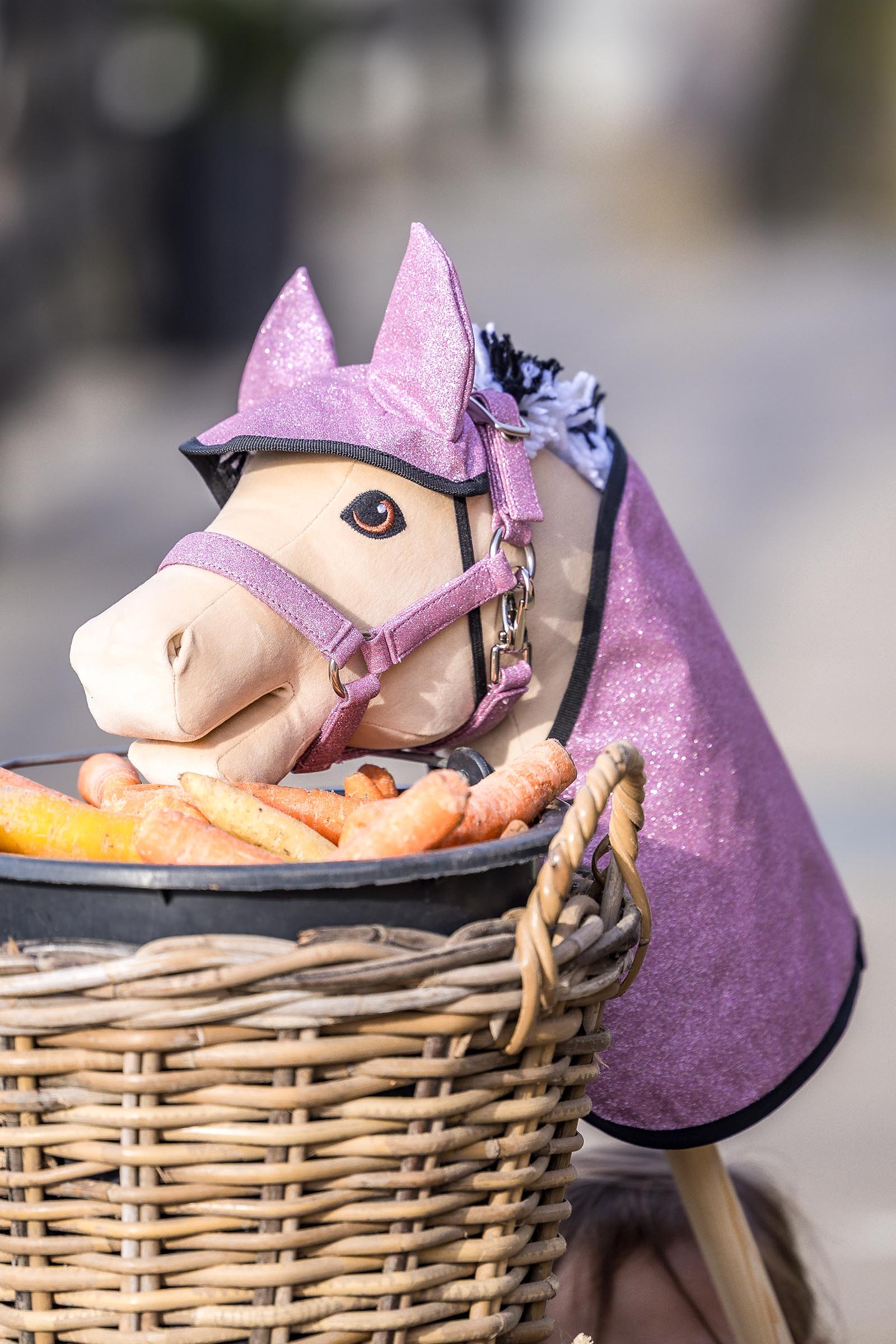 My Hobby Horse t&auml;cke och flughuva