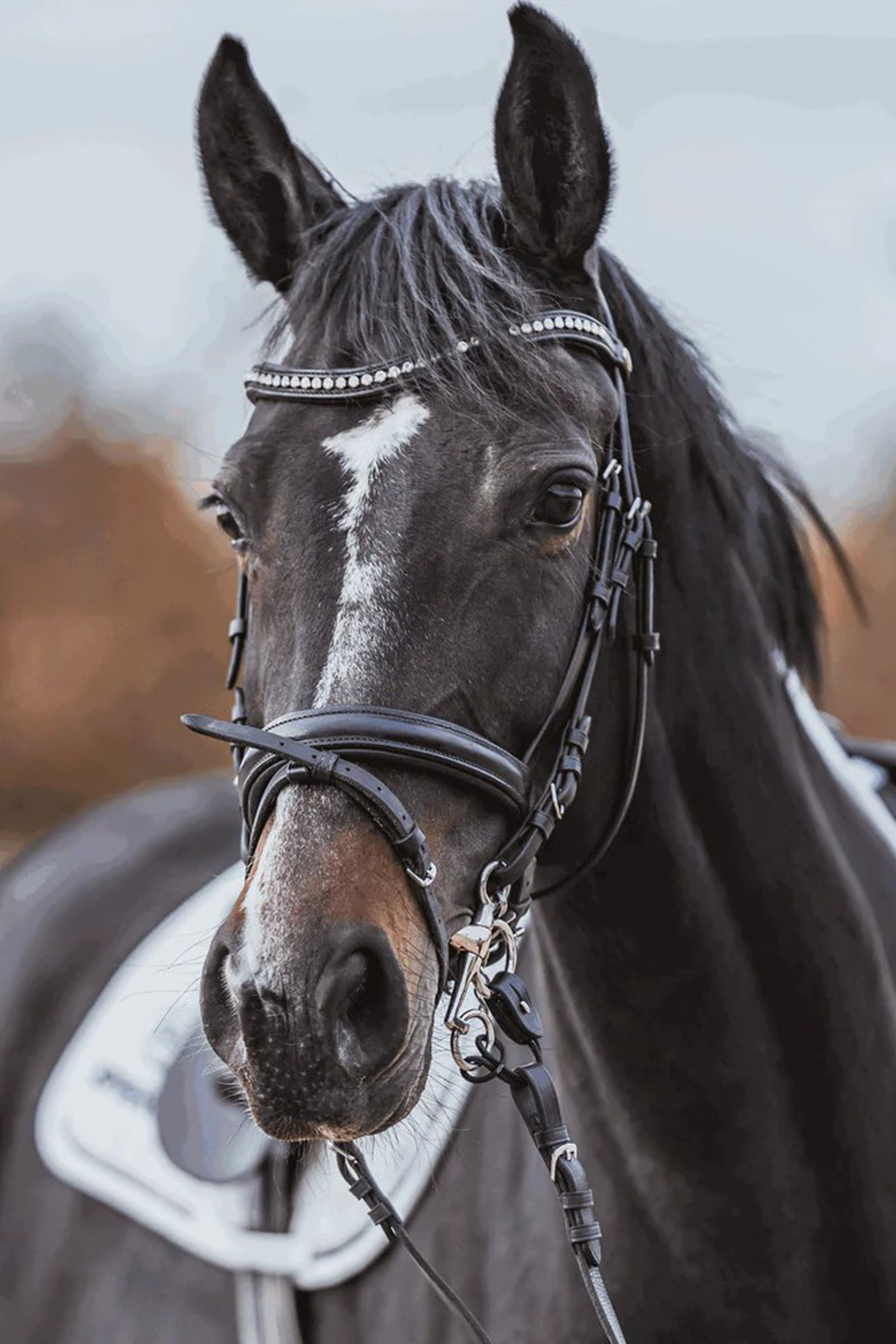 Sprenger Dynamic RS Pelham, Sensogan, dubbelbrytna, 16 mm