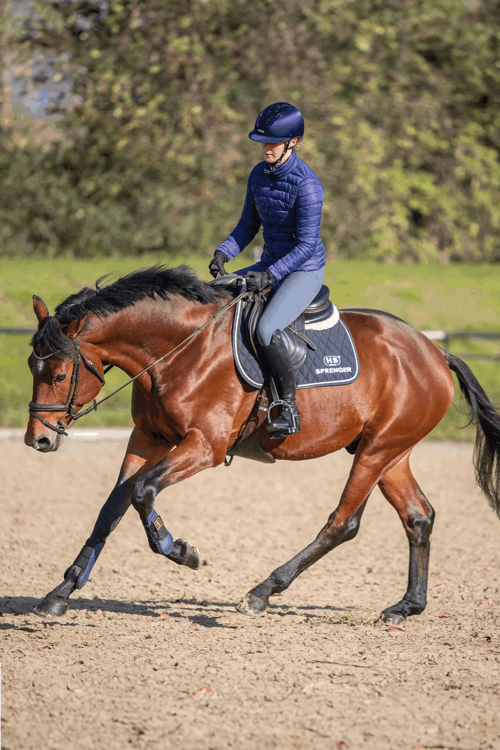 Sprenger Novocontact Eggbett 14mm Enkelledat Sensogan Med D-Formade Ringar