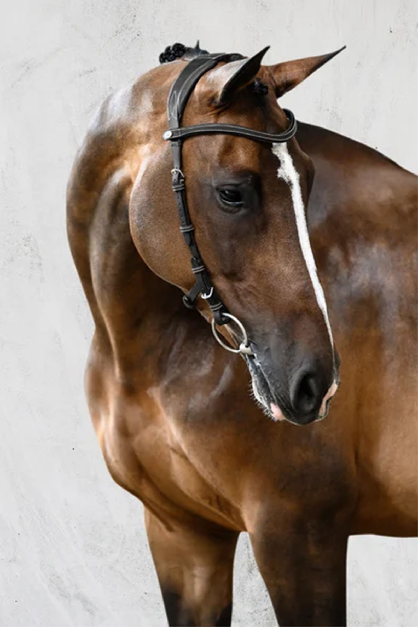 PS of Sweden Helsinki Tr&auml;ns