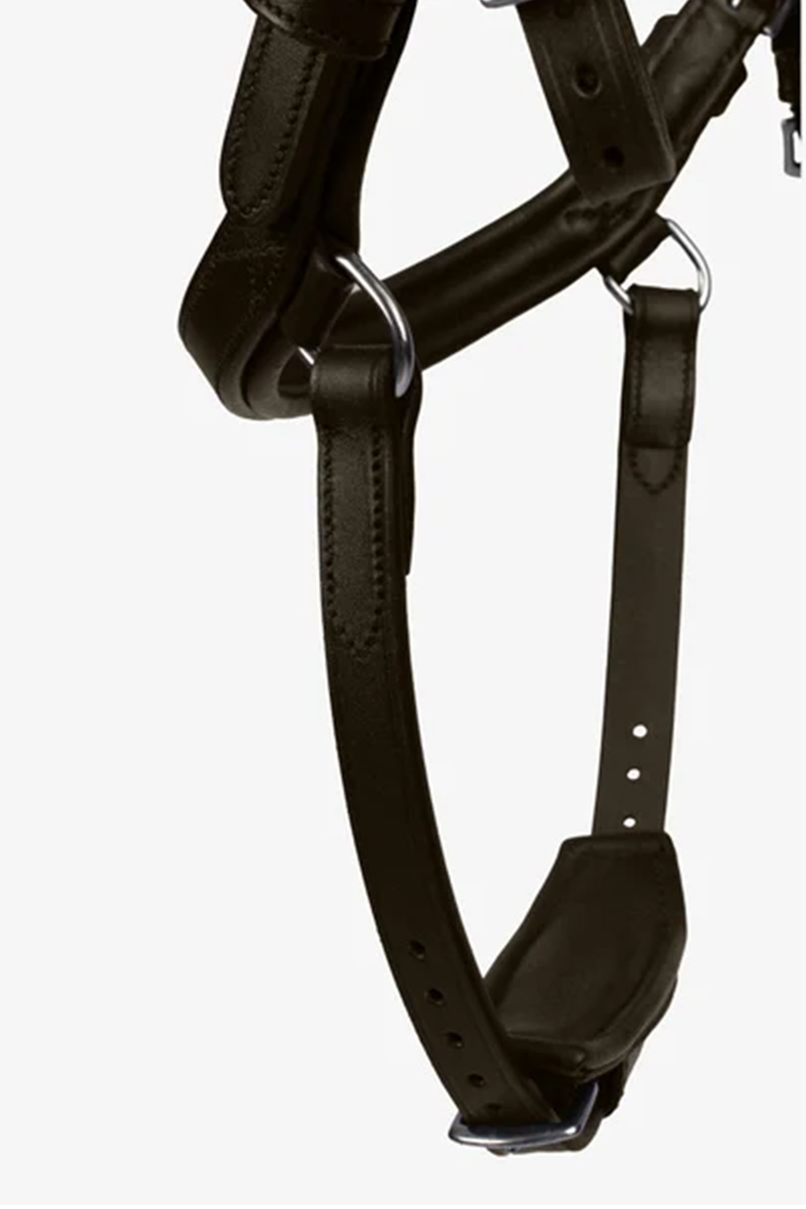 PS of Sweden Tr&auml;ns King Edward