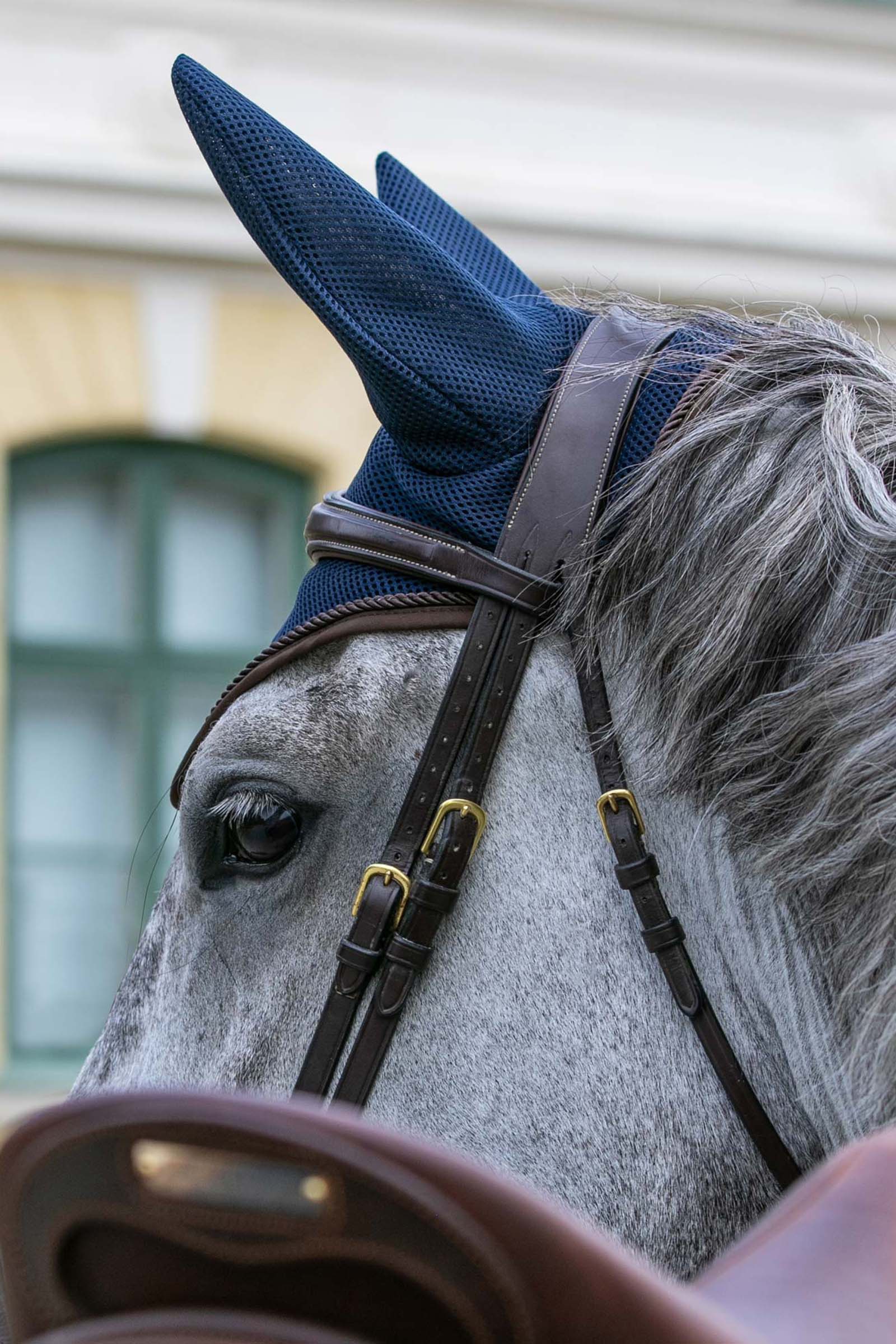 Back on Track Airflow flughuva