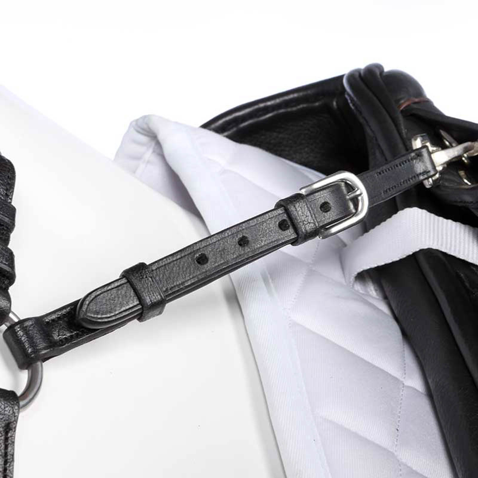 Kavalkade Diandro förbygel