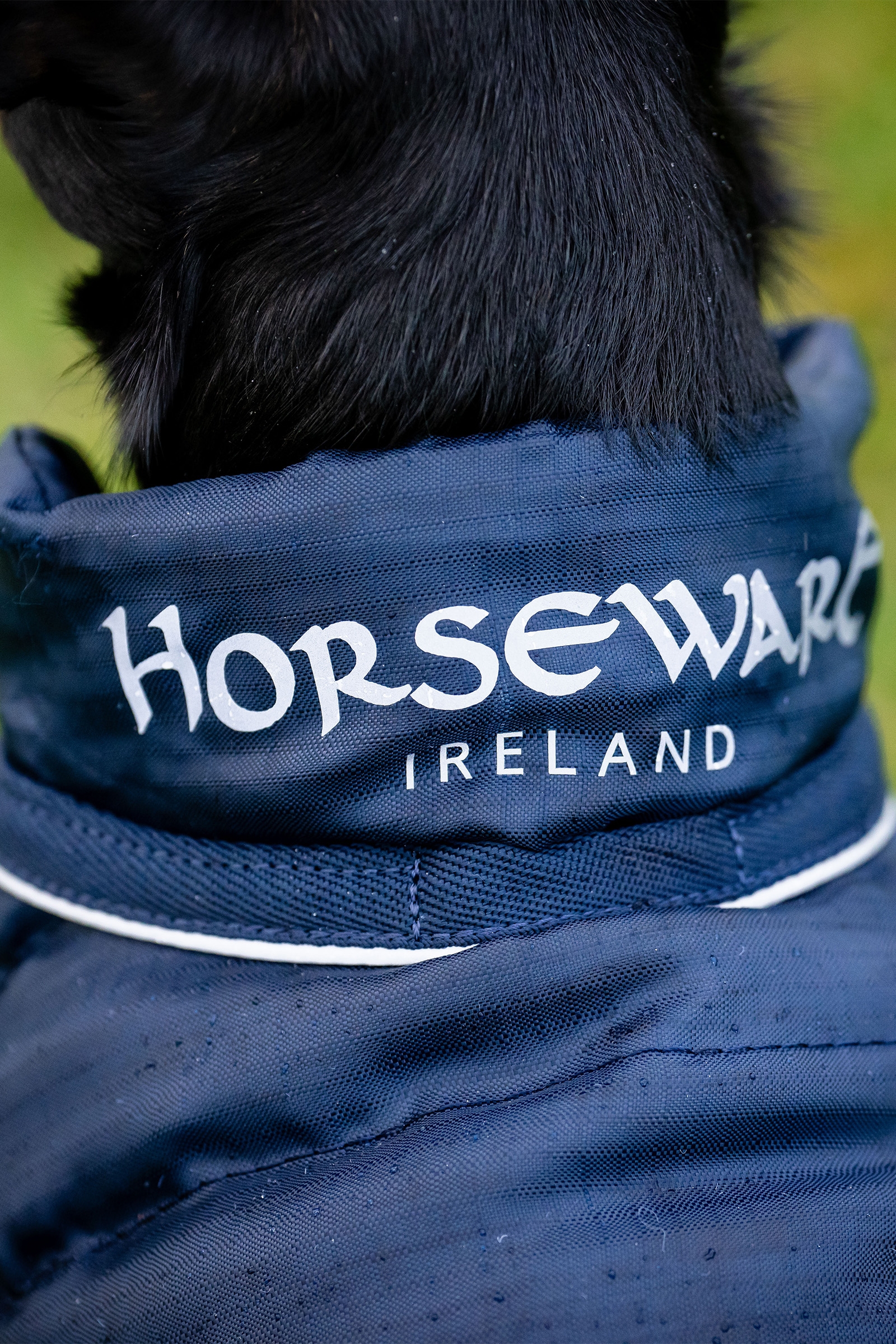 Horseware Signature Hundregnrock