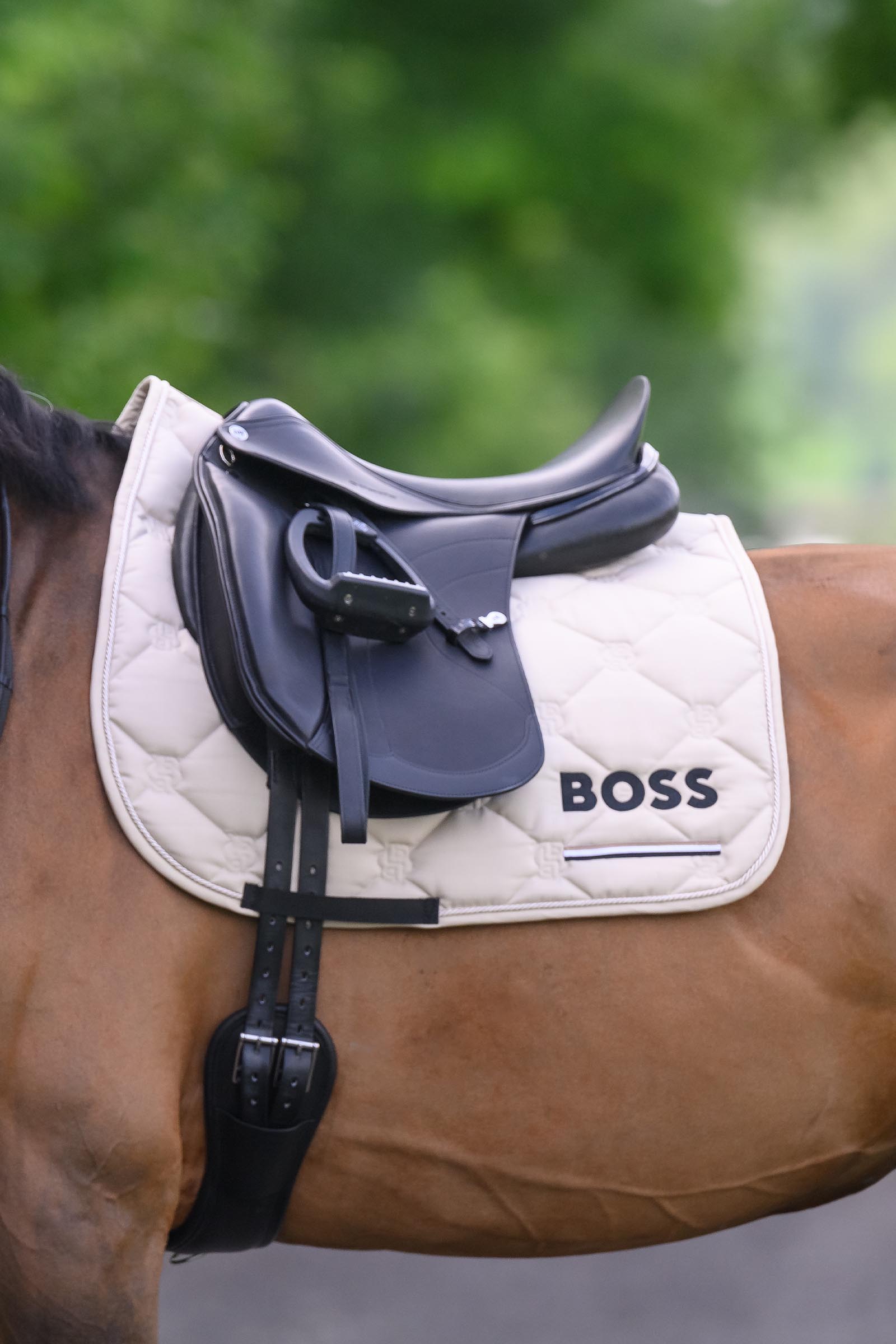 Boss Cambridge dressyrschabrak