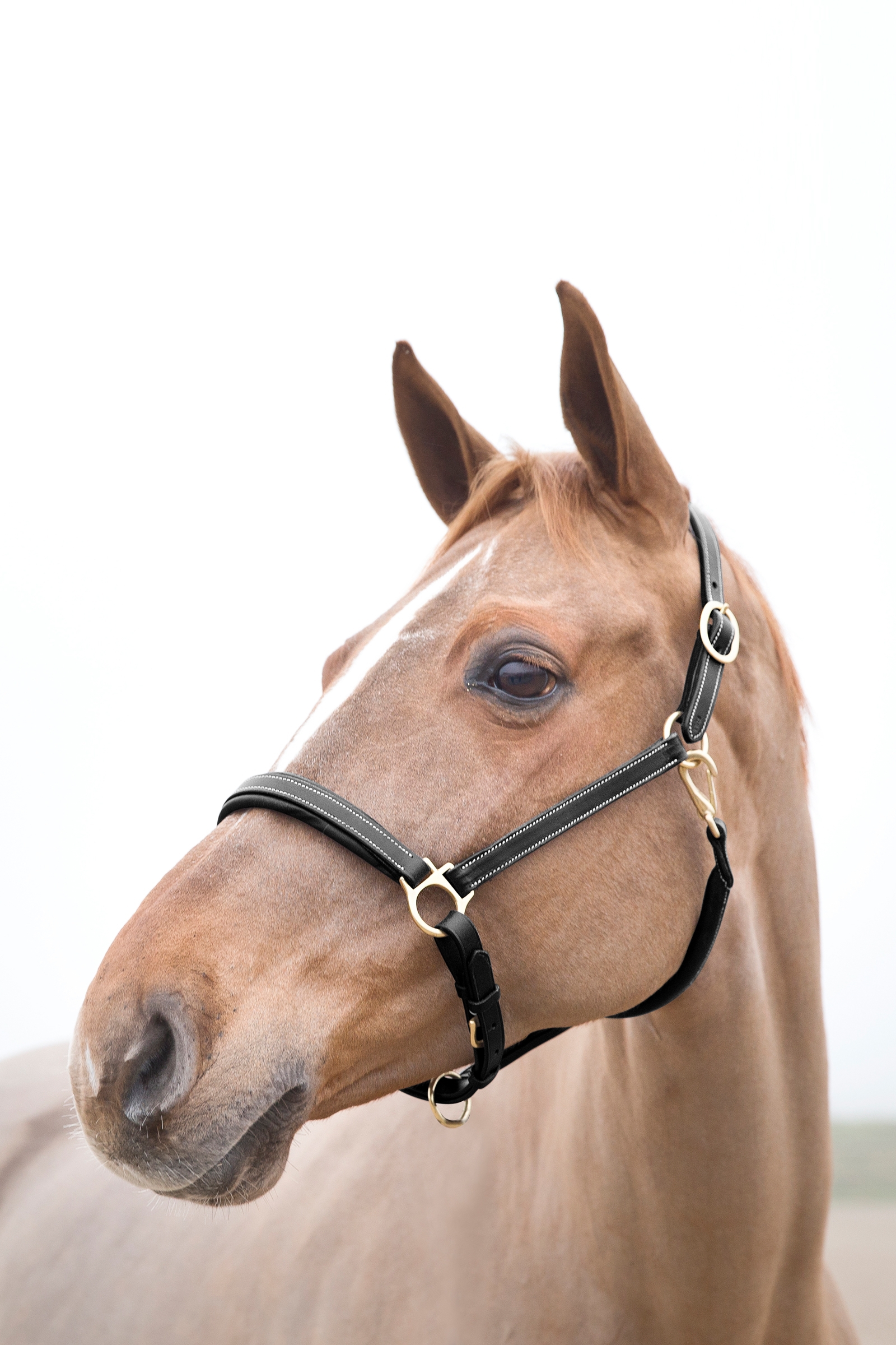 Horze Largo lädergrimma