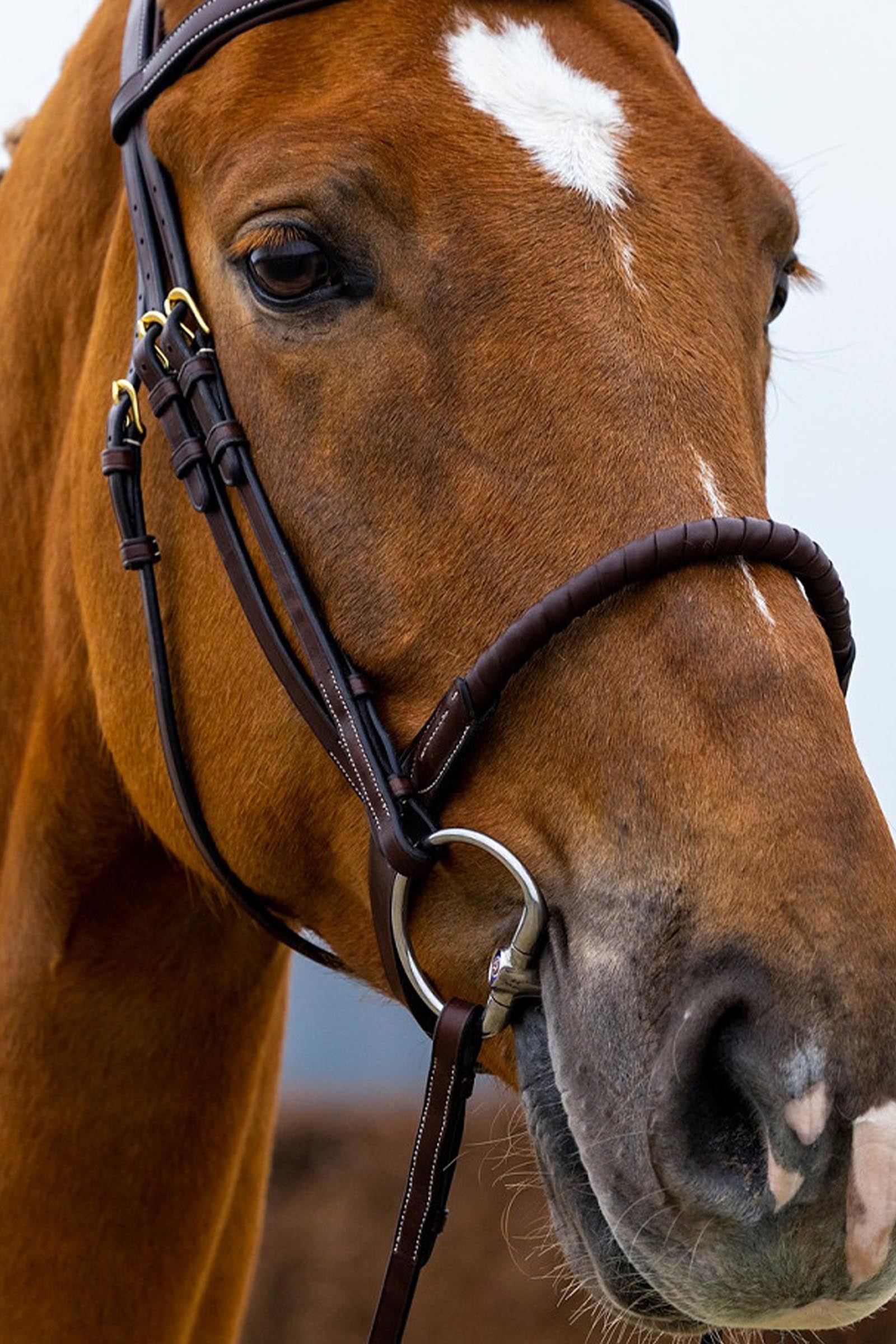 Trust Equestrian Dublin Rep N&auml;sbygel med Bridle