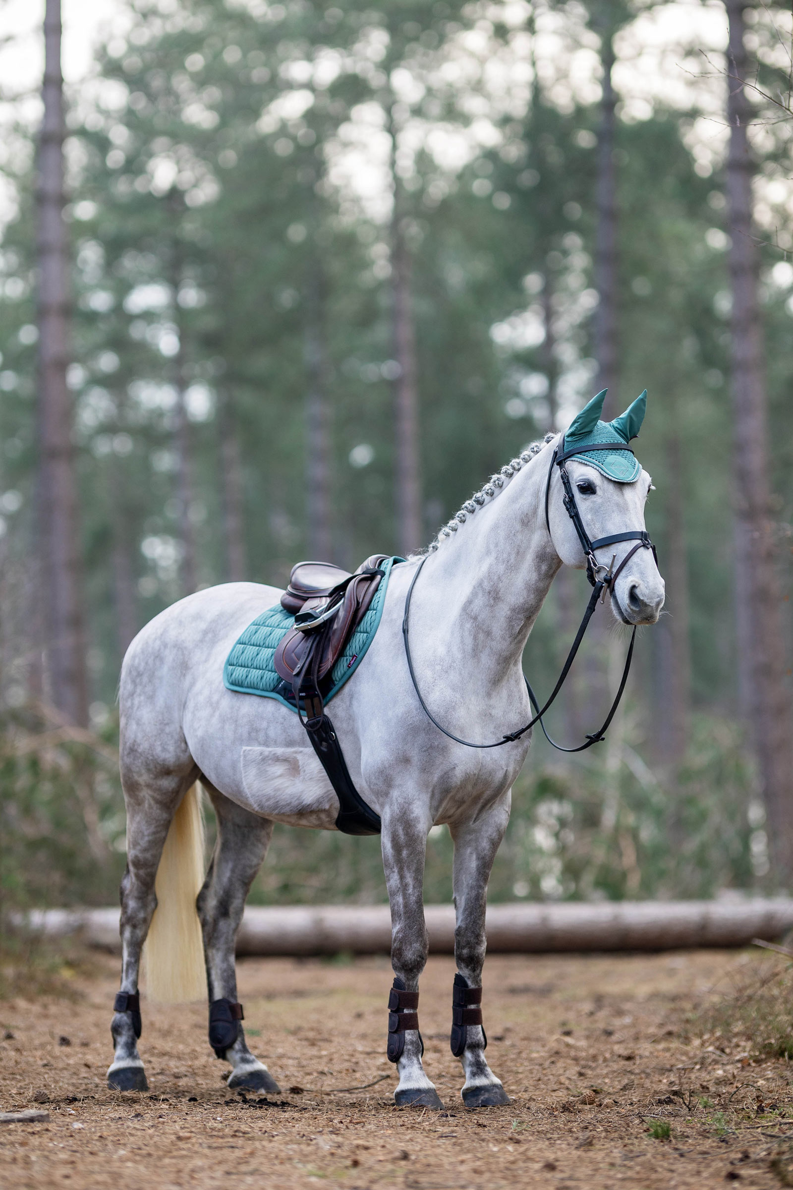 LeMieux klassisk flughuva