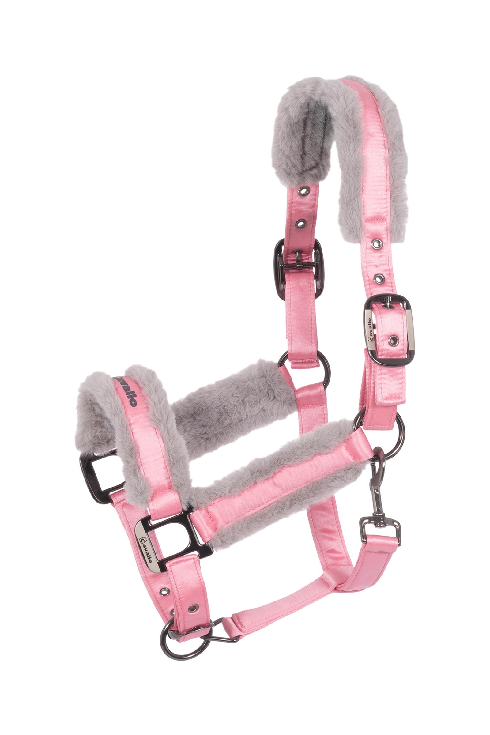 Powder Pink Cavallo CAVALJERO grimma