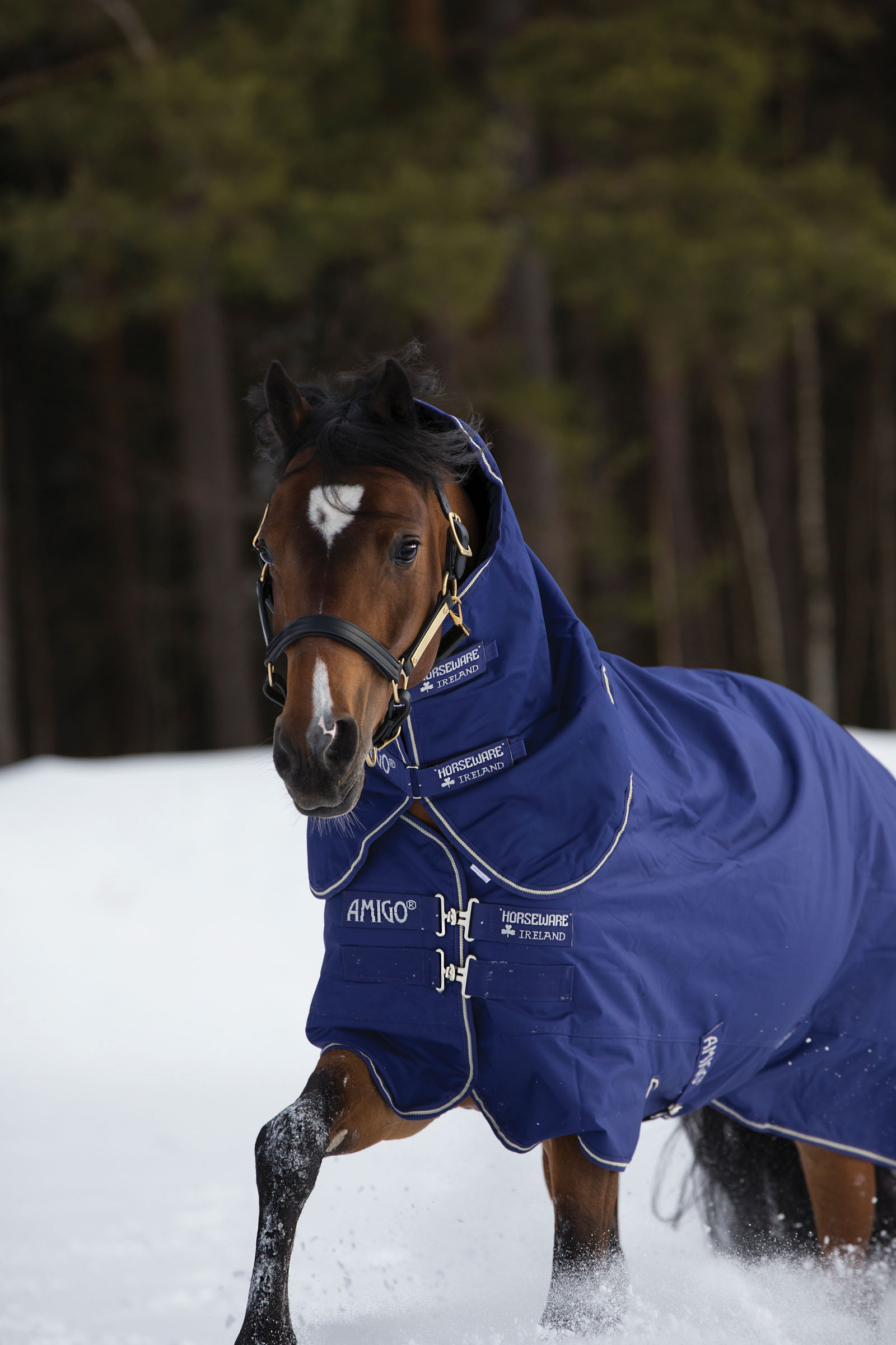 Horseware Amigo Hero 900 Plus Medium utet&auml;cke, 200g