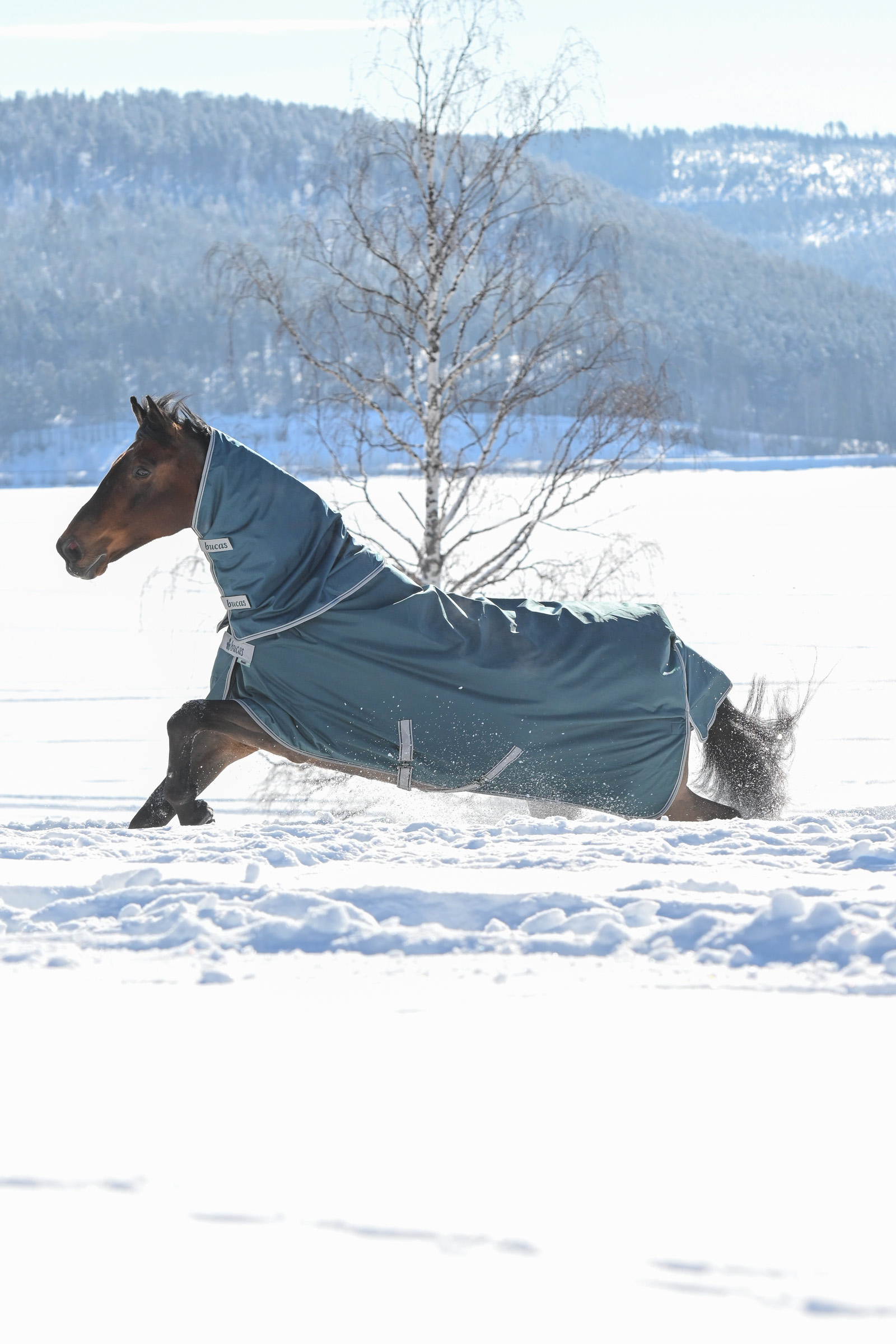 Bucas Atlantic halstäcke för utetäcke, 300 g