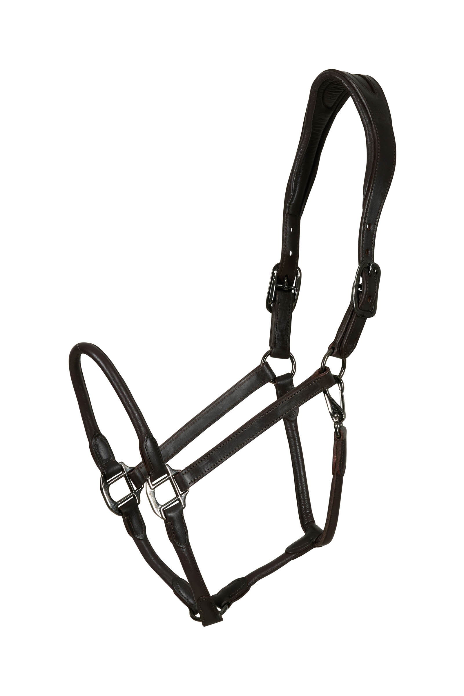 Catago leather halter with round-stitched noseband
