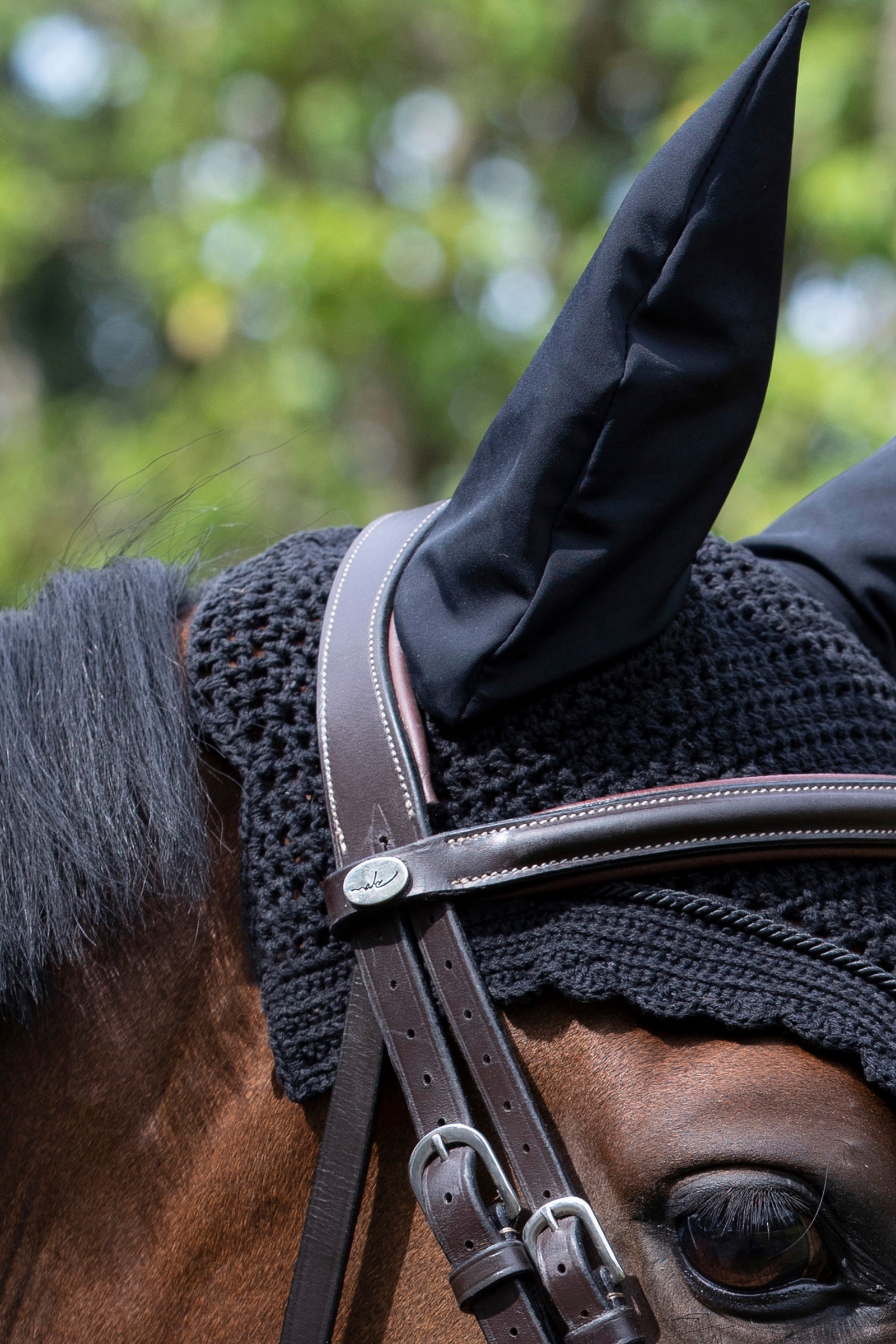 LeMieux Acoustic Pro ridhuva