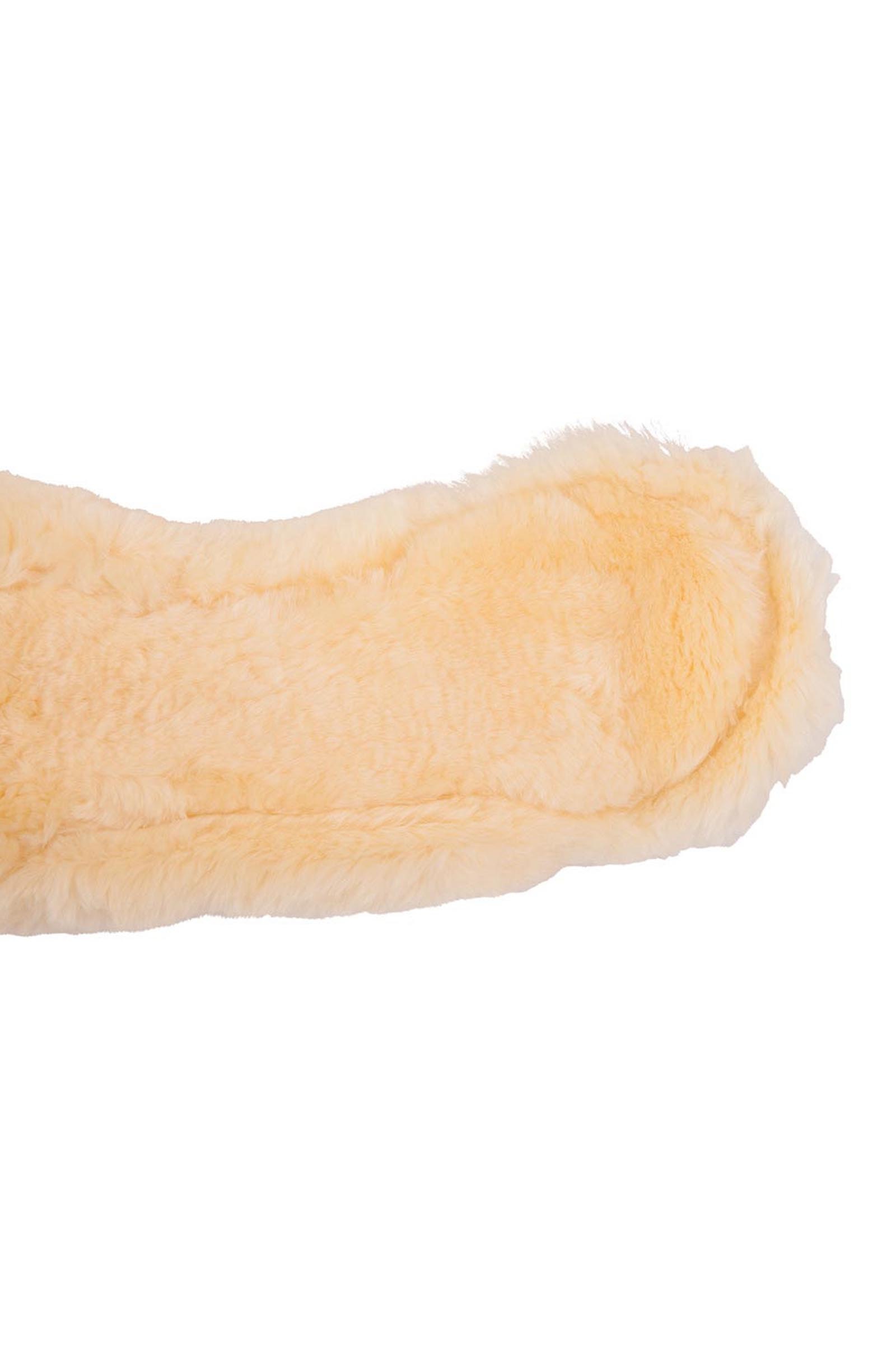 BR Eclipse dressyrgjord