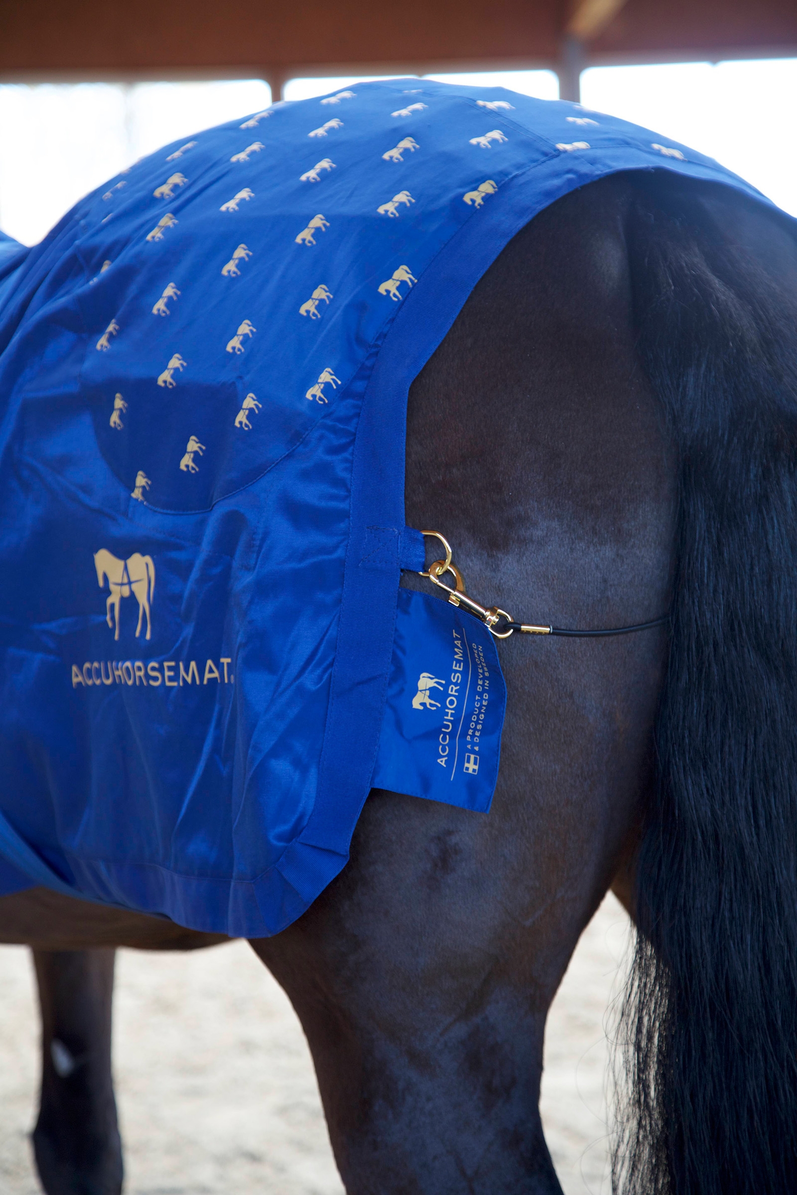 Accuhorsemat original