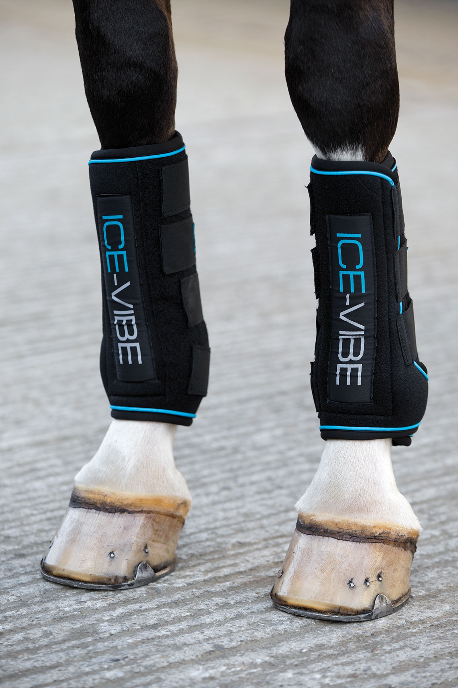 Horseware Ice-Vibe benskydd