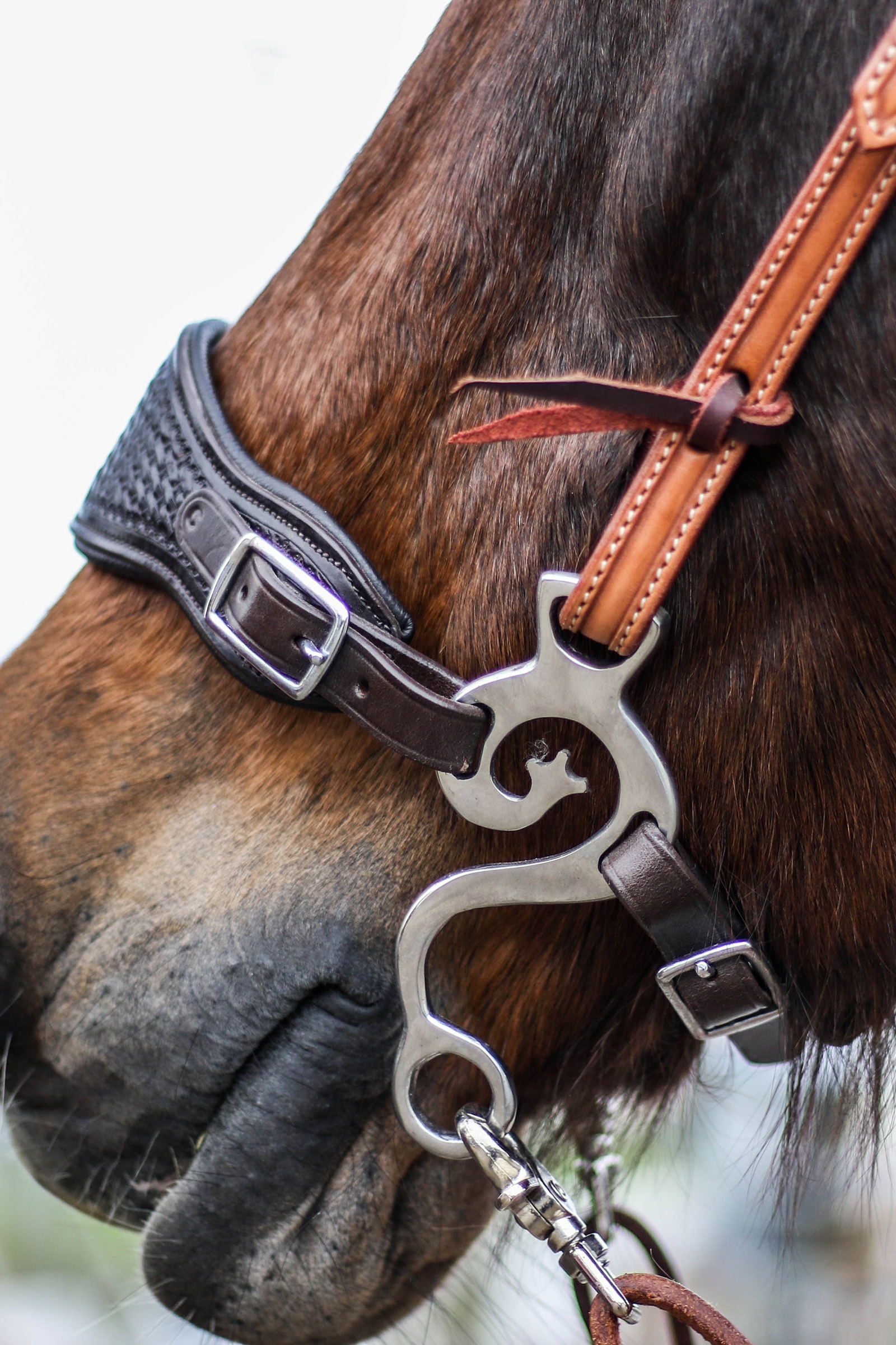 F.R.A. Freedom Riding Articles Music set hackamore SS, 140 mm