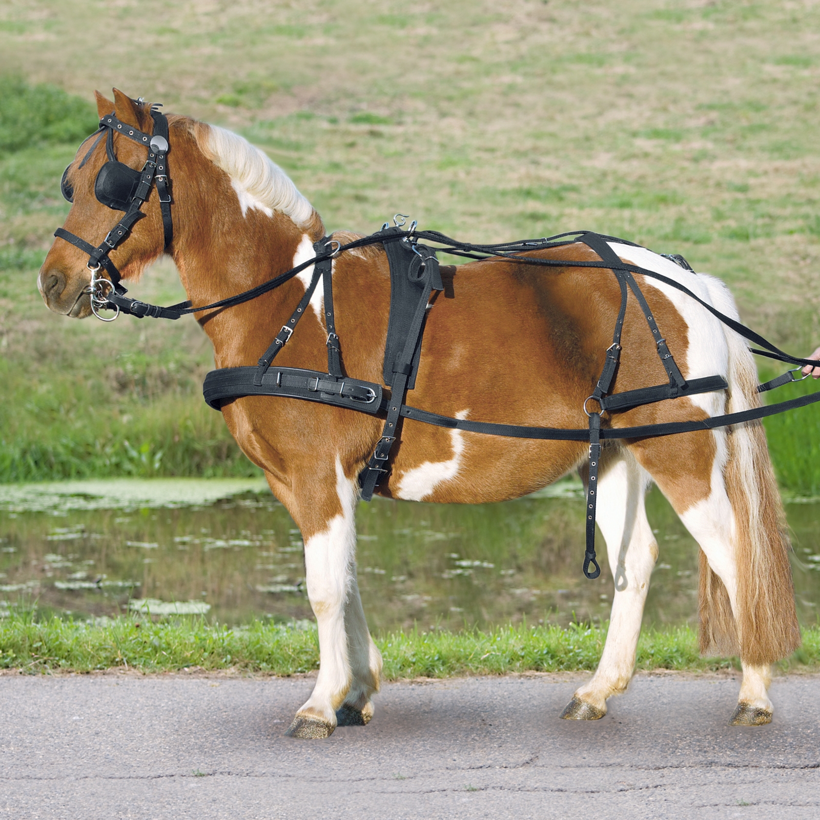 Waldhausen Single Harness Pony och Shetty