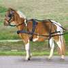 Waldhausen Single Harness Pony och Shetty