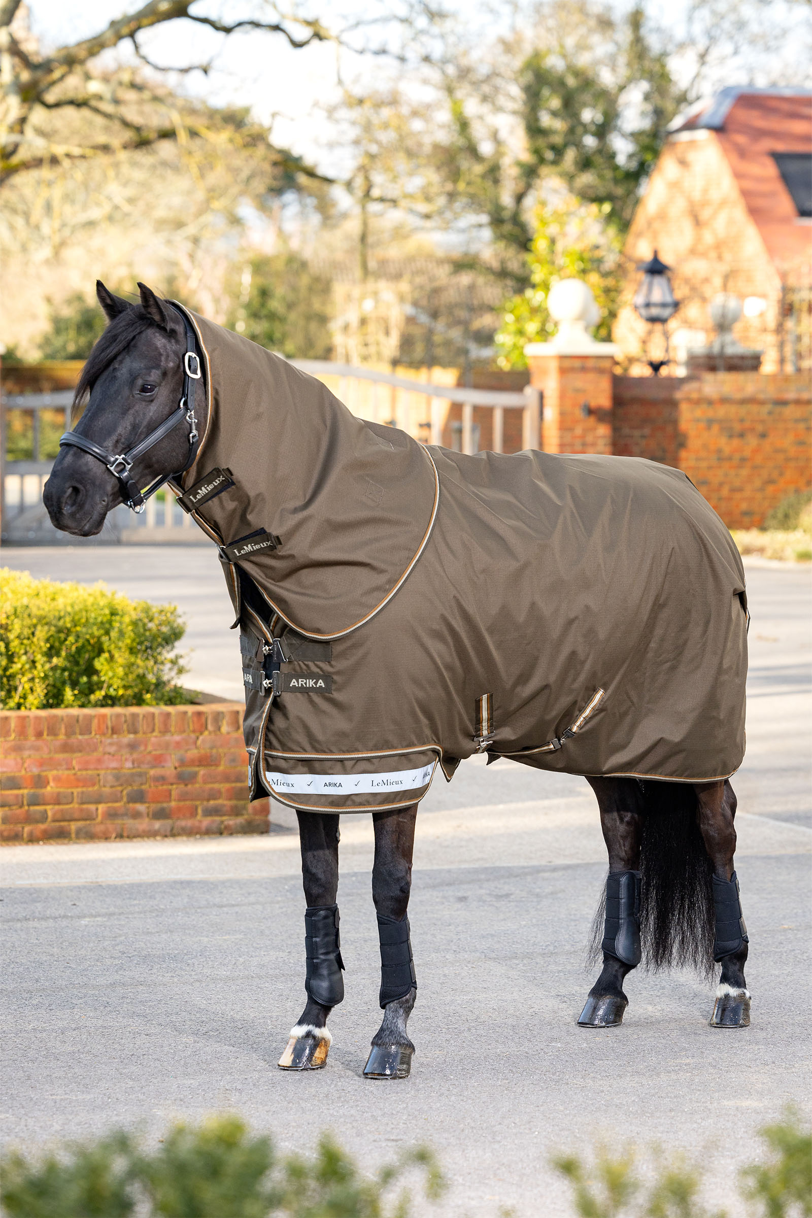LeMieux Arika Ripstop Turnout Rug With Detachable Neck, 100 g
