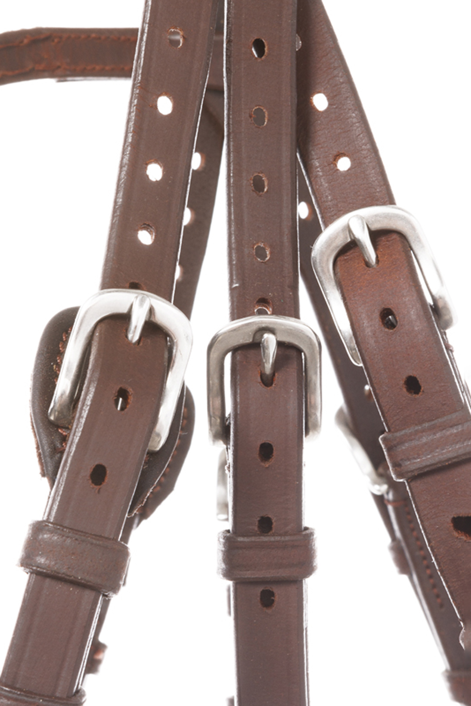 Kavalkade träns Everlyn crank med nosgrimma och pullback-funktion