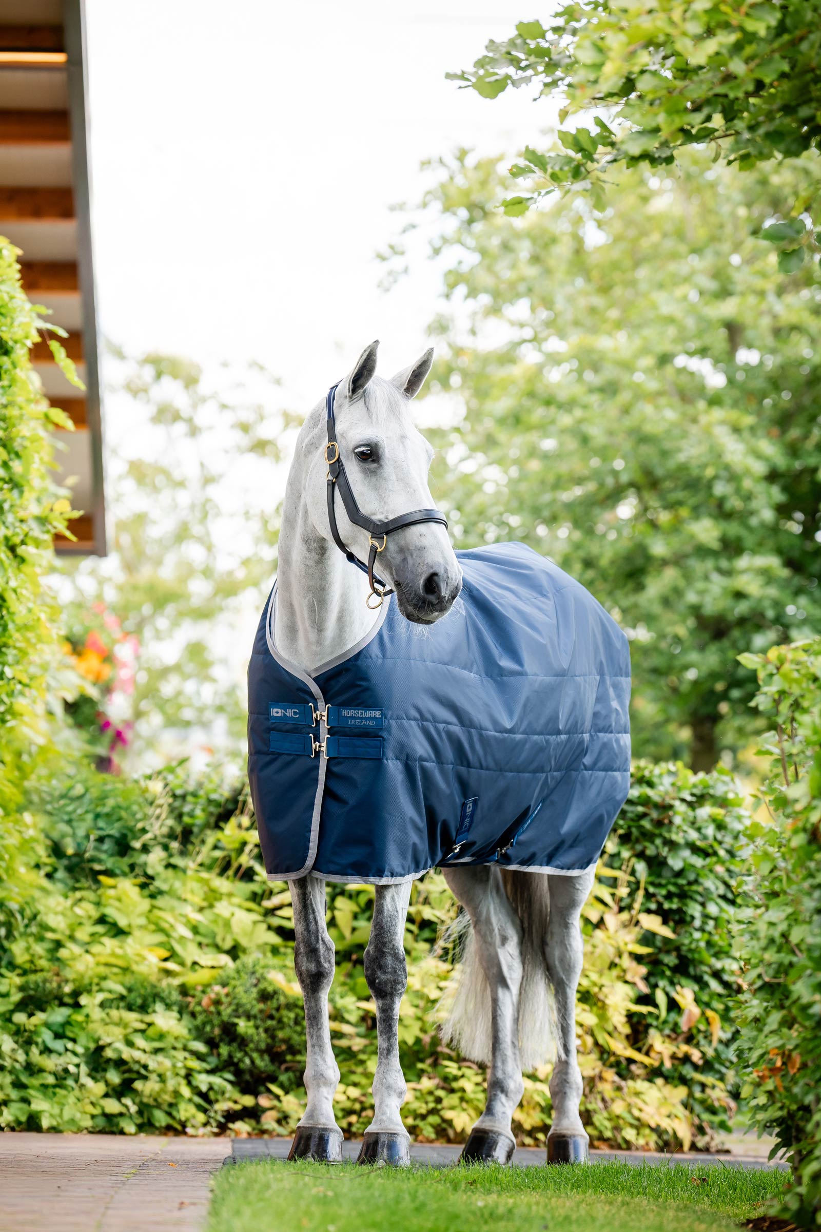 Horseware Ionic Therapy Stallt&auml;cke, 50g