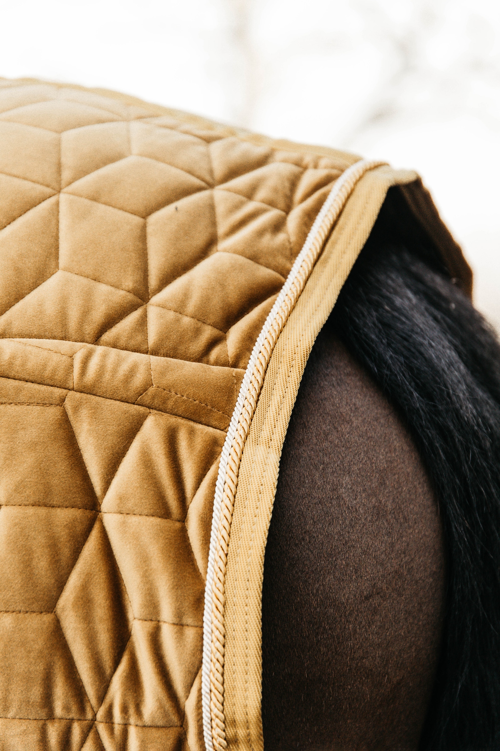 Kentucky Velvet Show Rug t&auml;cke, 160g