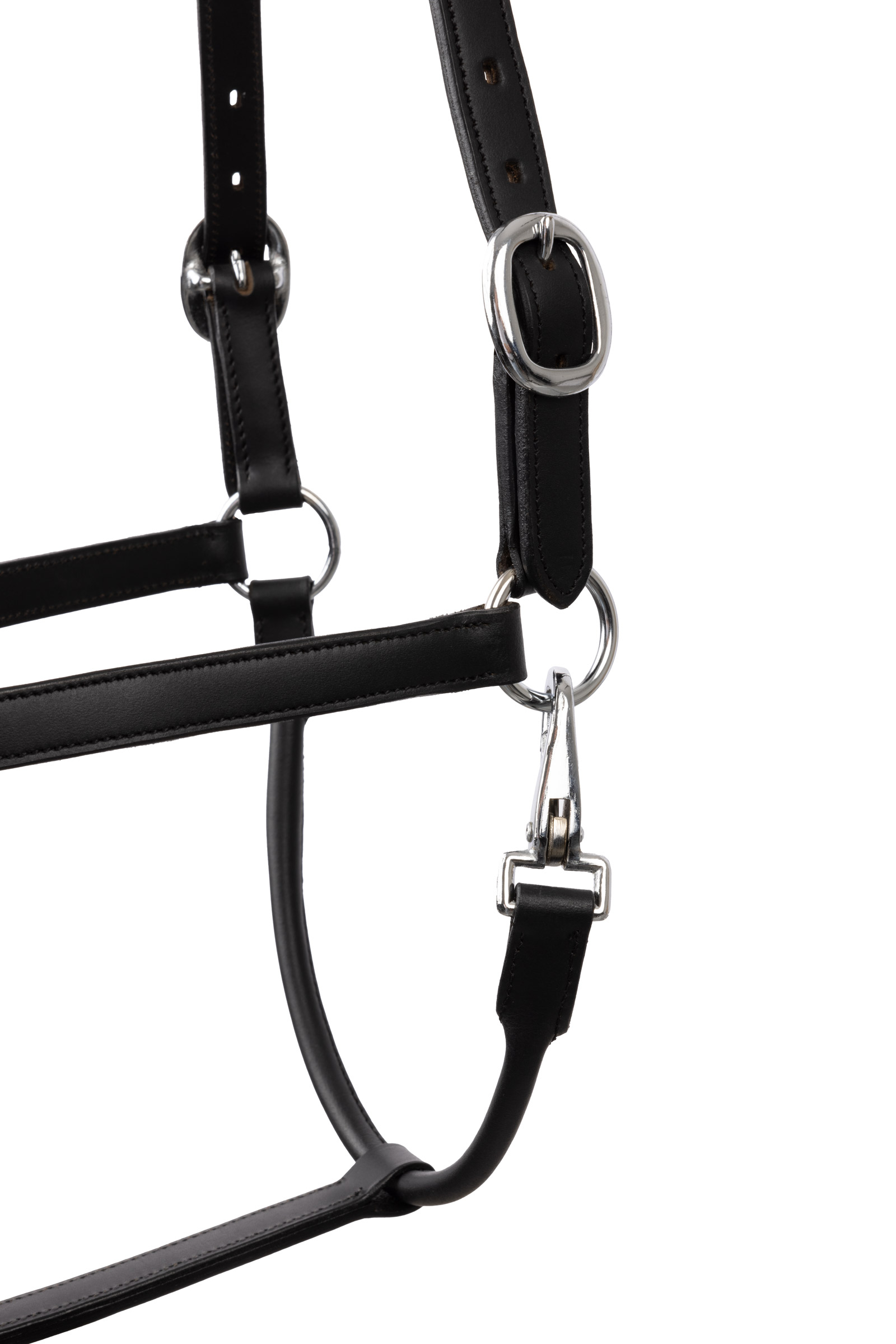 Horze grimma med kristaller