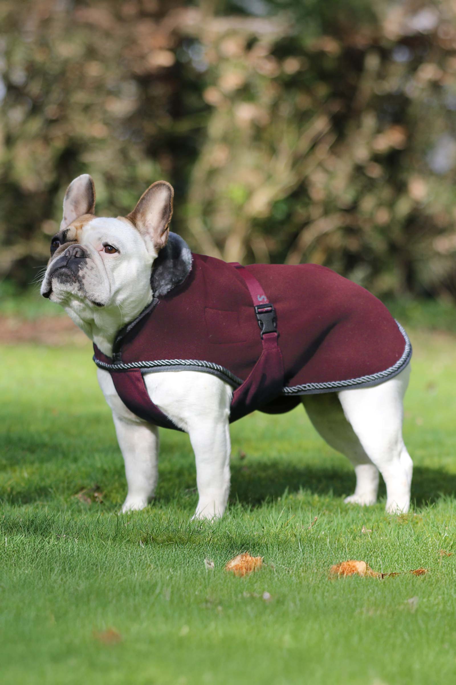 Bucas Show-Line Visa matta f&ouml;r Hund