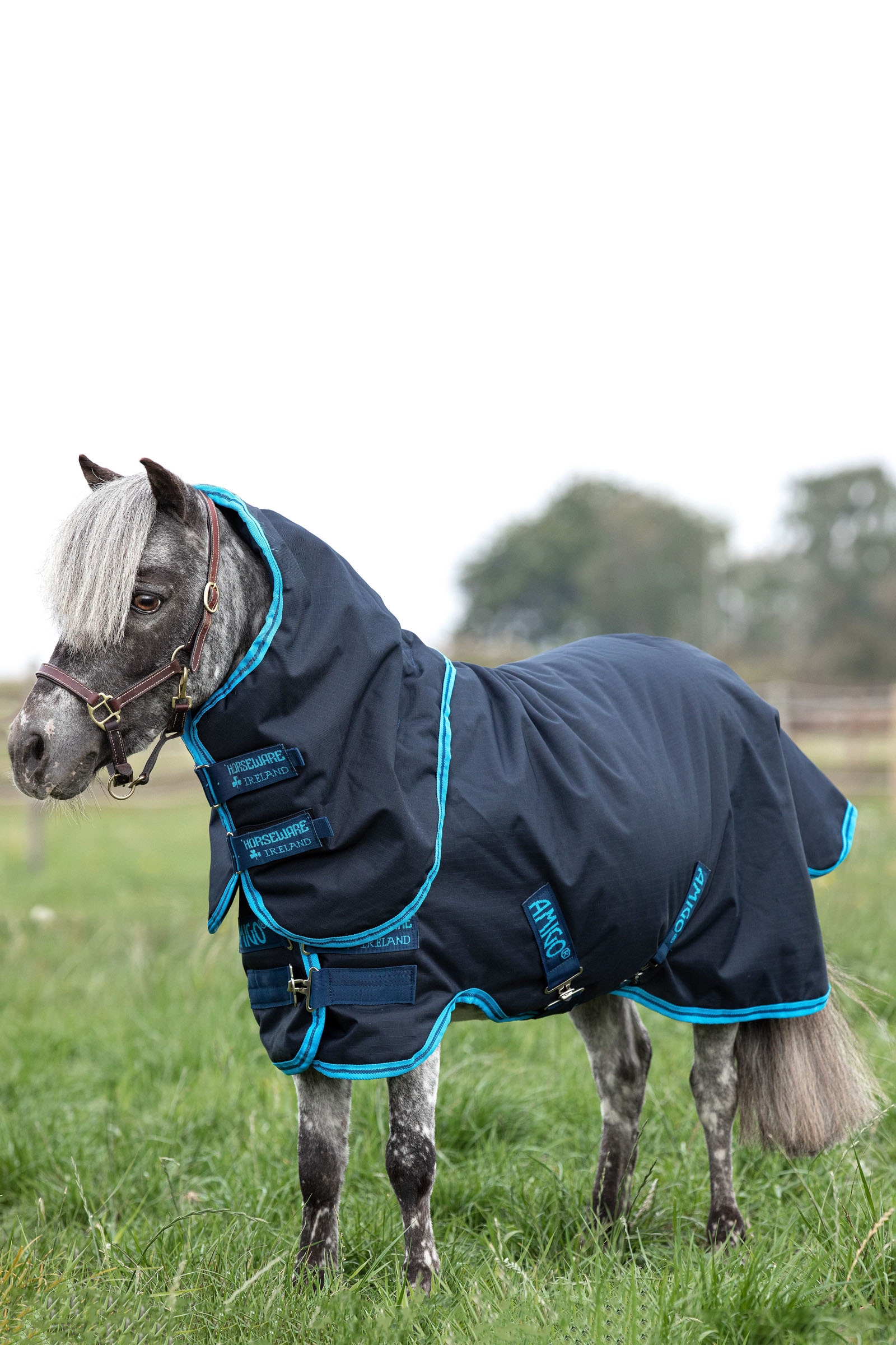 Horseware Amigo Hero 6 Petite Plus Turnout Utet&auml;cke inkl. Avtagbart halst&auml;cke, 200g