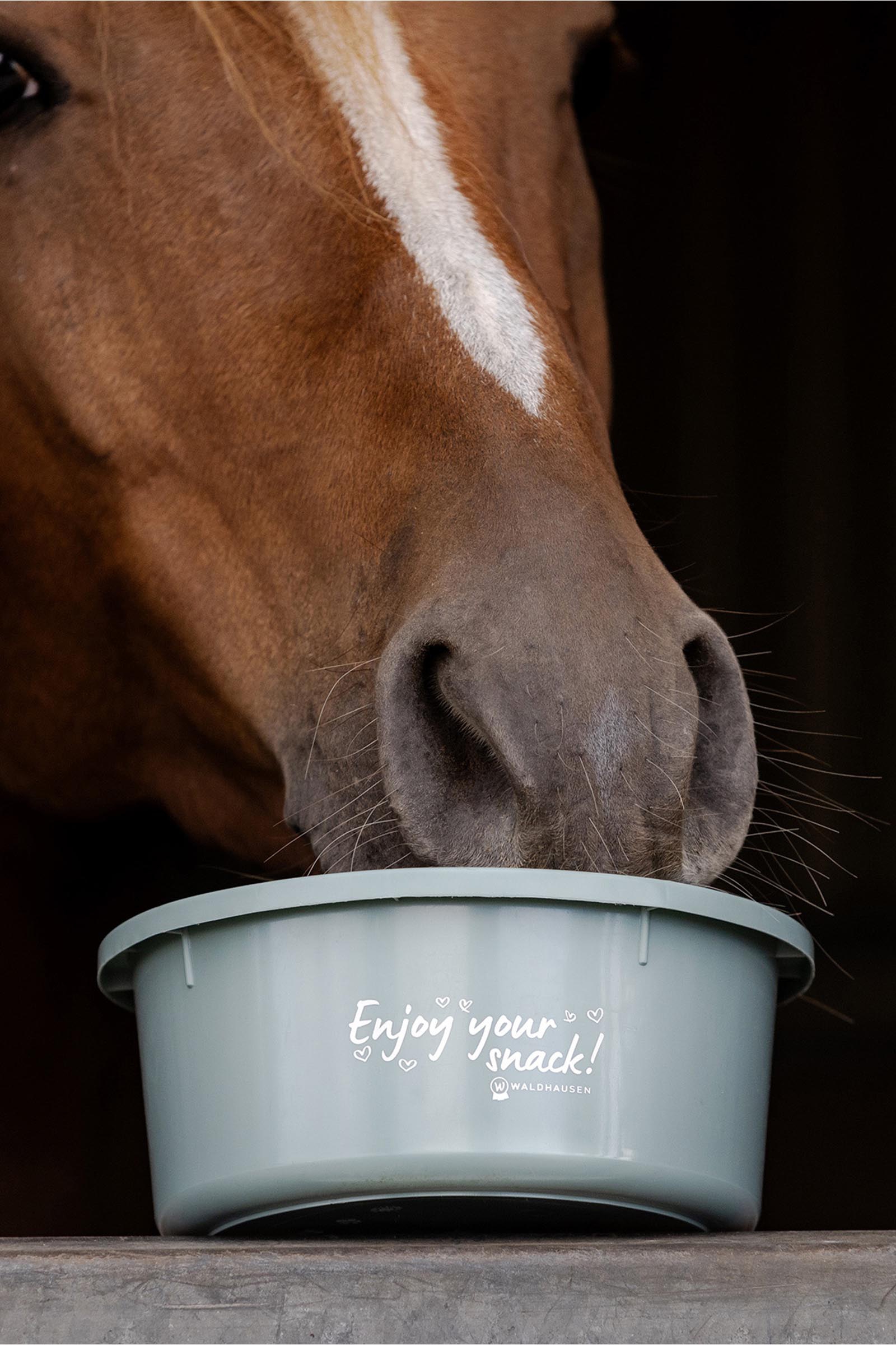 Waldhausen liten foderskål med lock