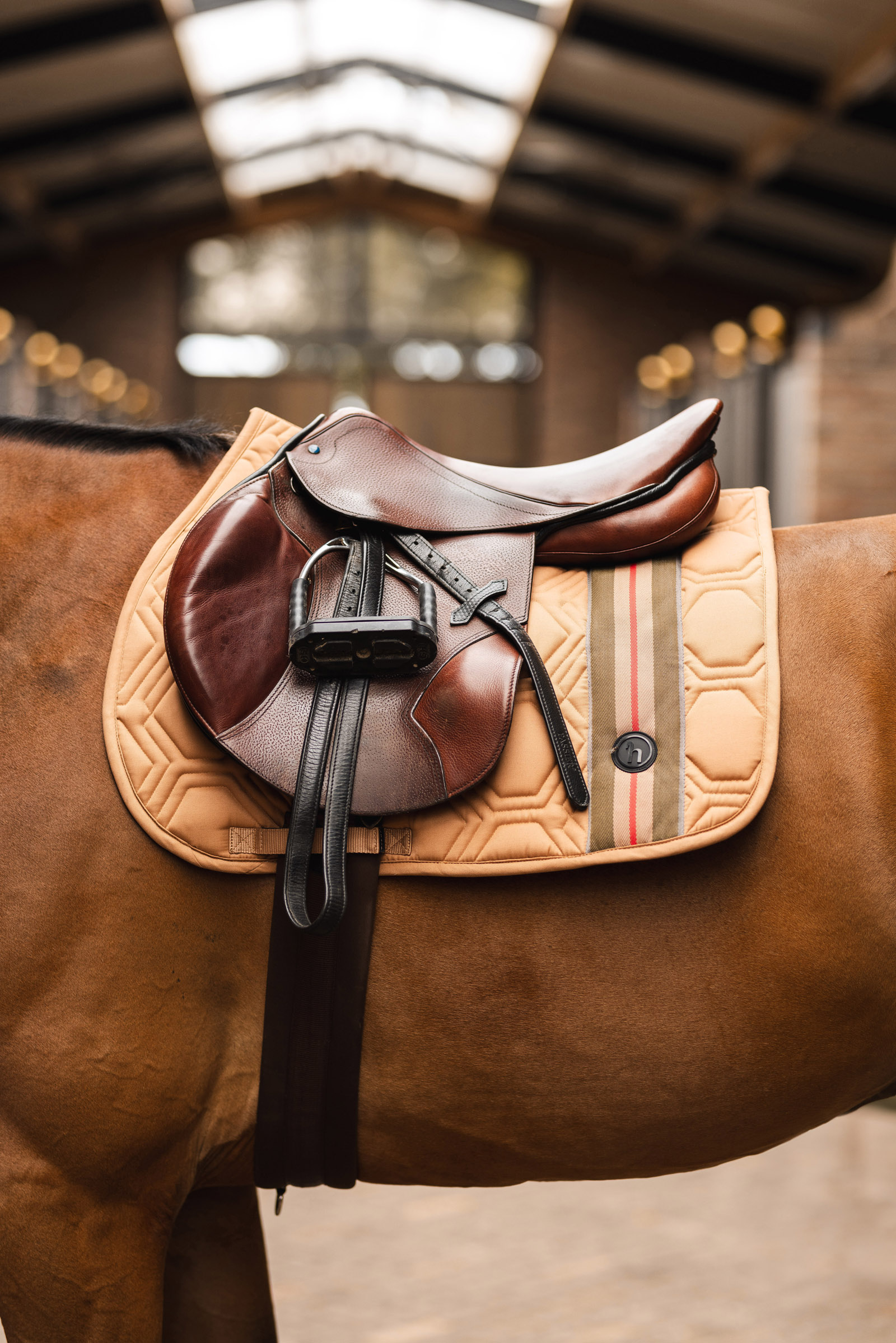 Horze High Life hoppschabrak