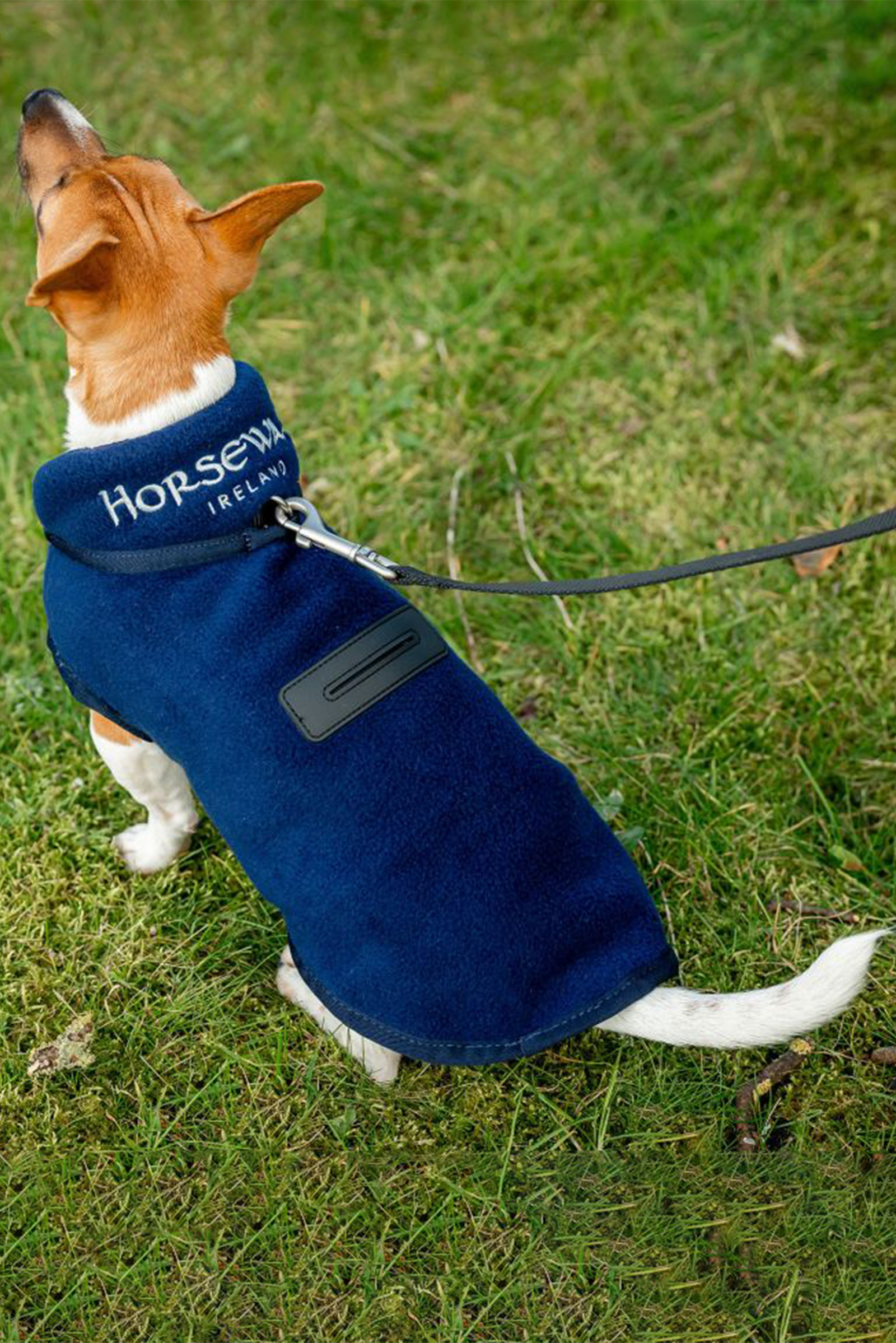 Horseware Signature Hundfleecefilt