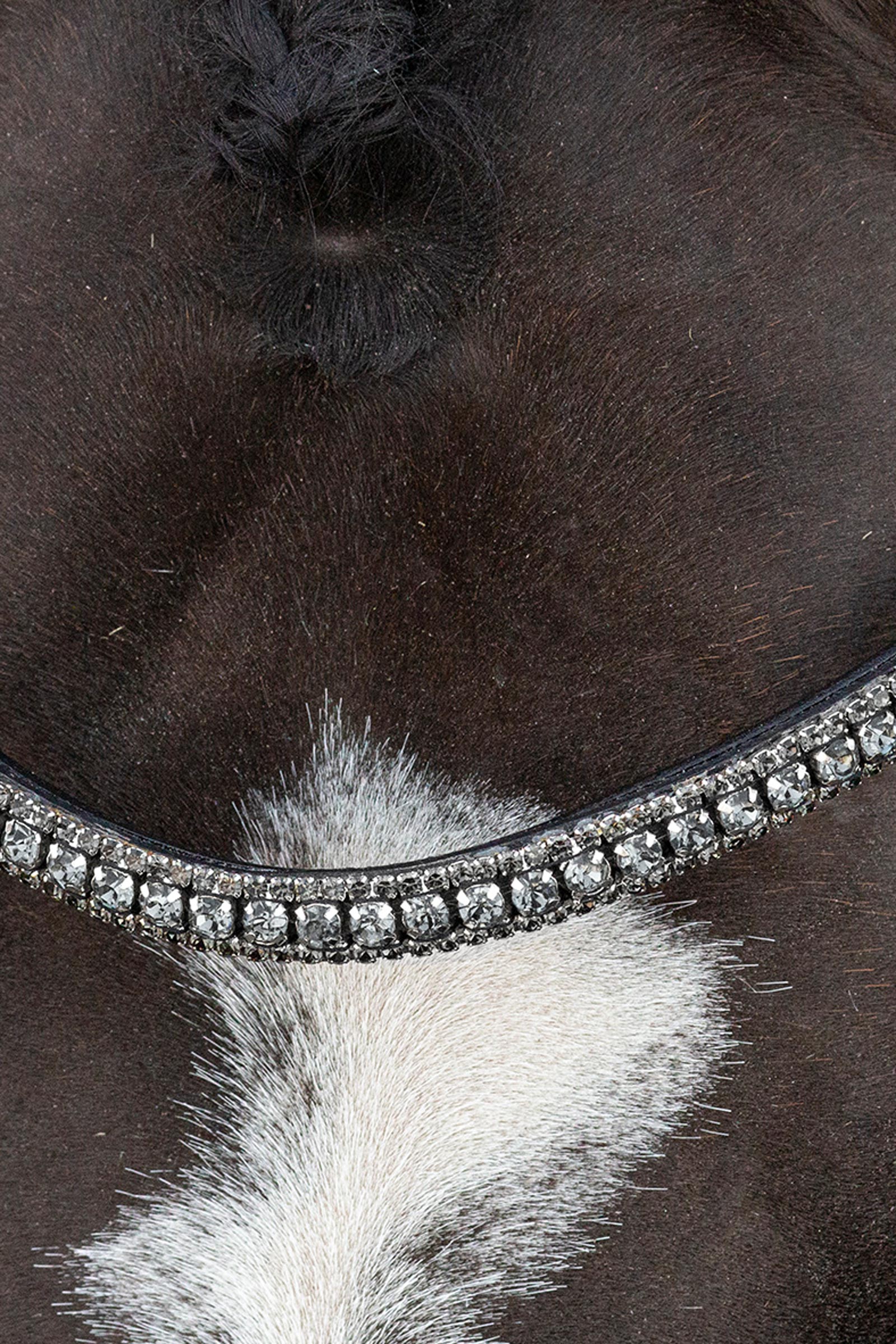 Schockem&ouml;hle Sports Brindisi Kandartr&auml;ns