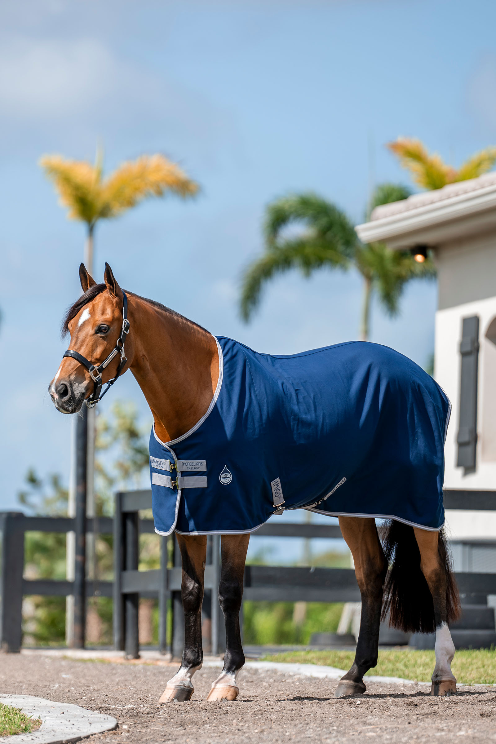 Horseware Amigo Stalltäcke, 0g