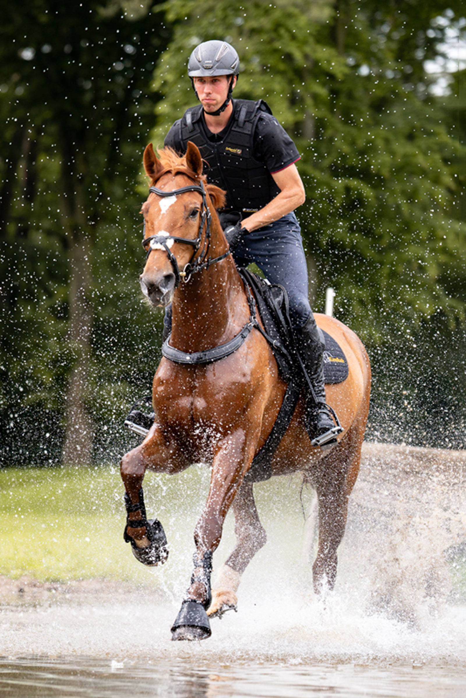 Kavalkade Jerome 2-punkts Br&ouml;stplatta