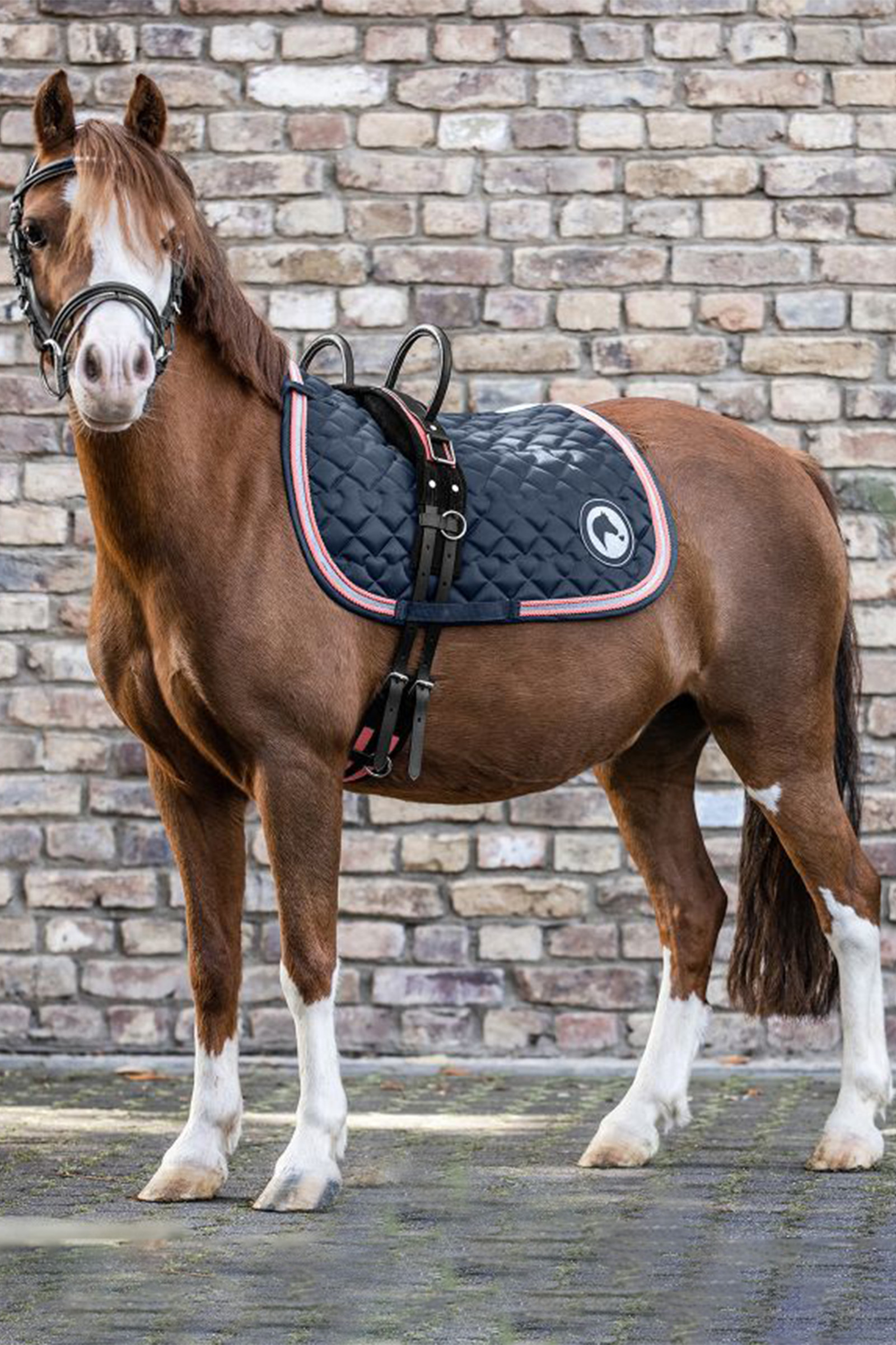 Waldhausen Longergjord med två handtag