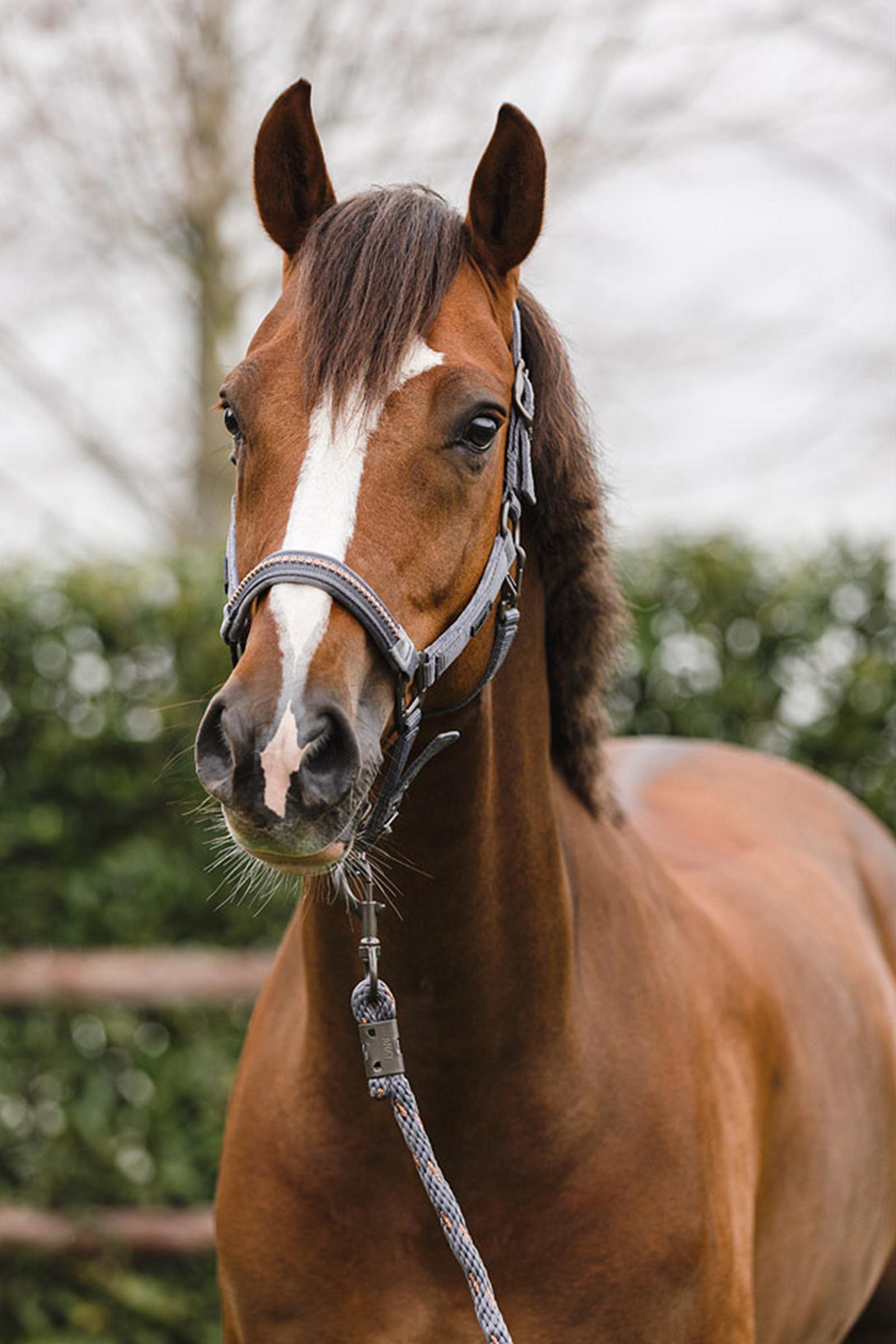 ANKY Stones Grimma och Grimskaft