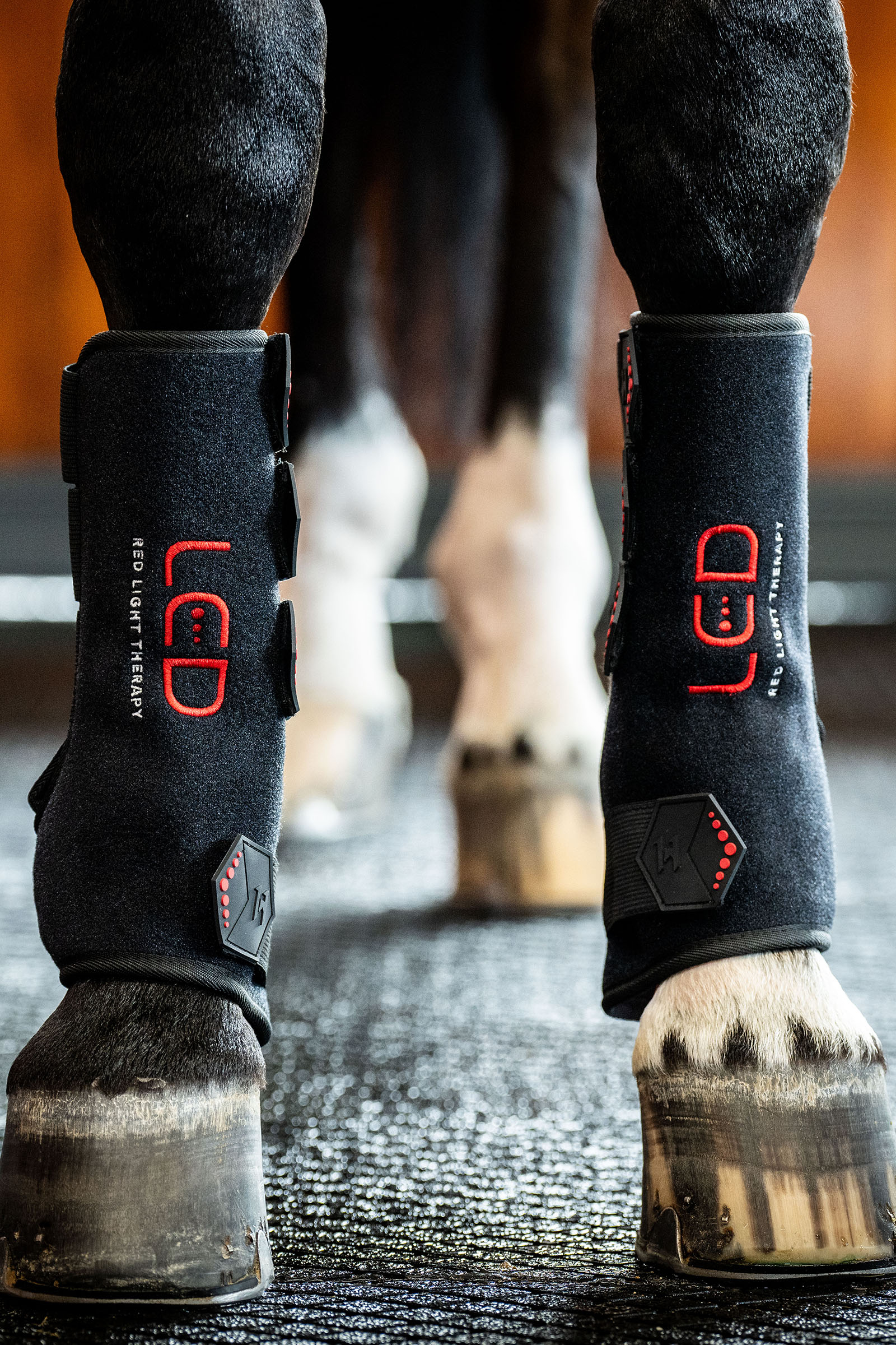 Horseware LED-r&ouml;tt ljusterapi benskydd (1 st.)