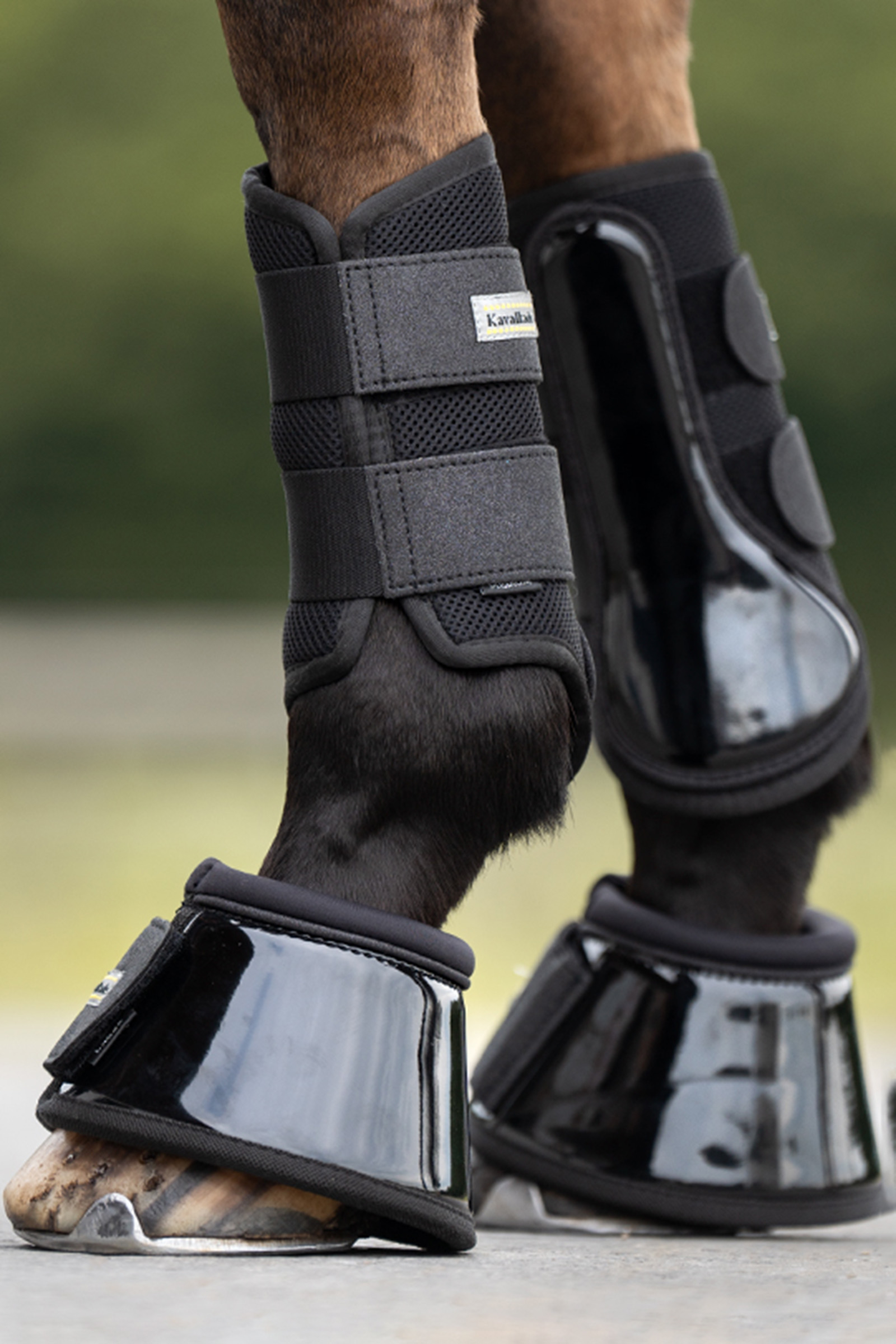 Kavalkade Star Over Reach Boots (1 Pair)