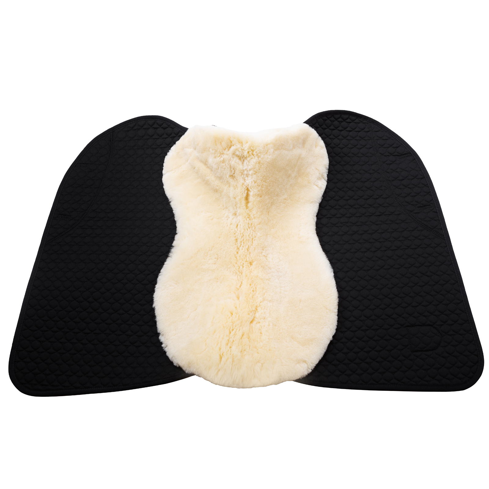 Christ Champ S schabrak