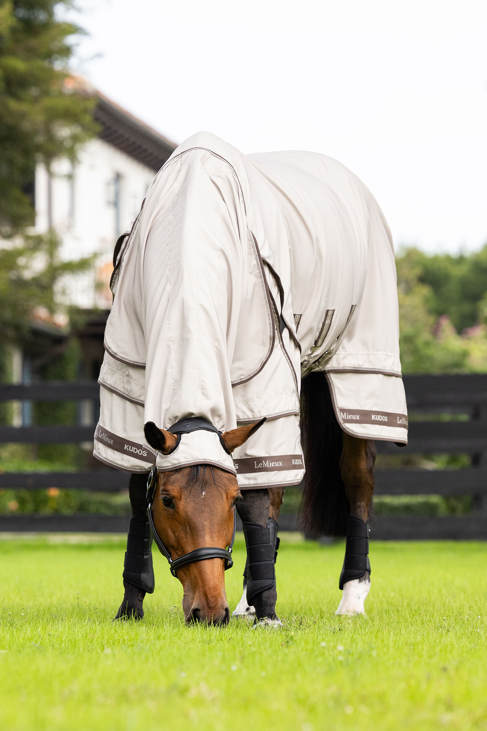 LeMieux Kudos eksemtäcke
