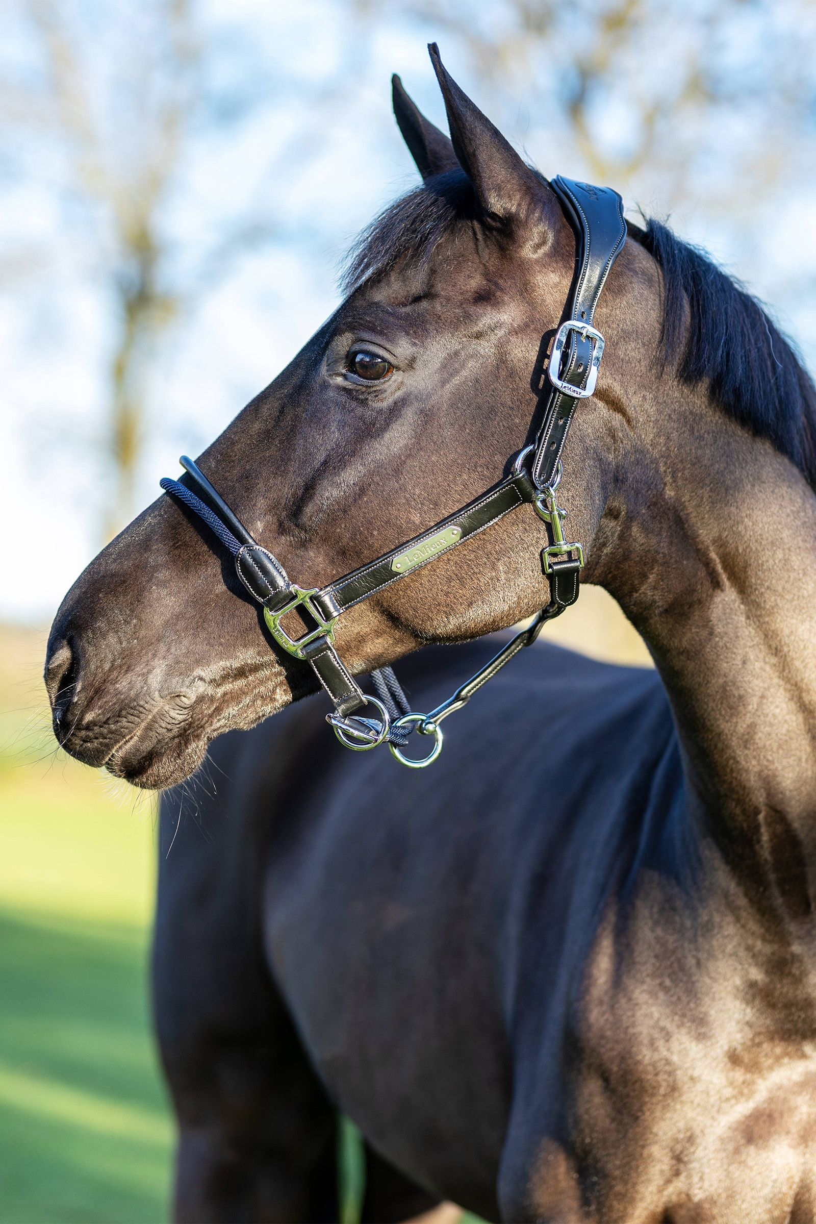 LeMieux Rope Control grimma