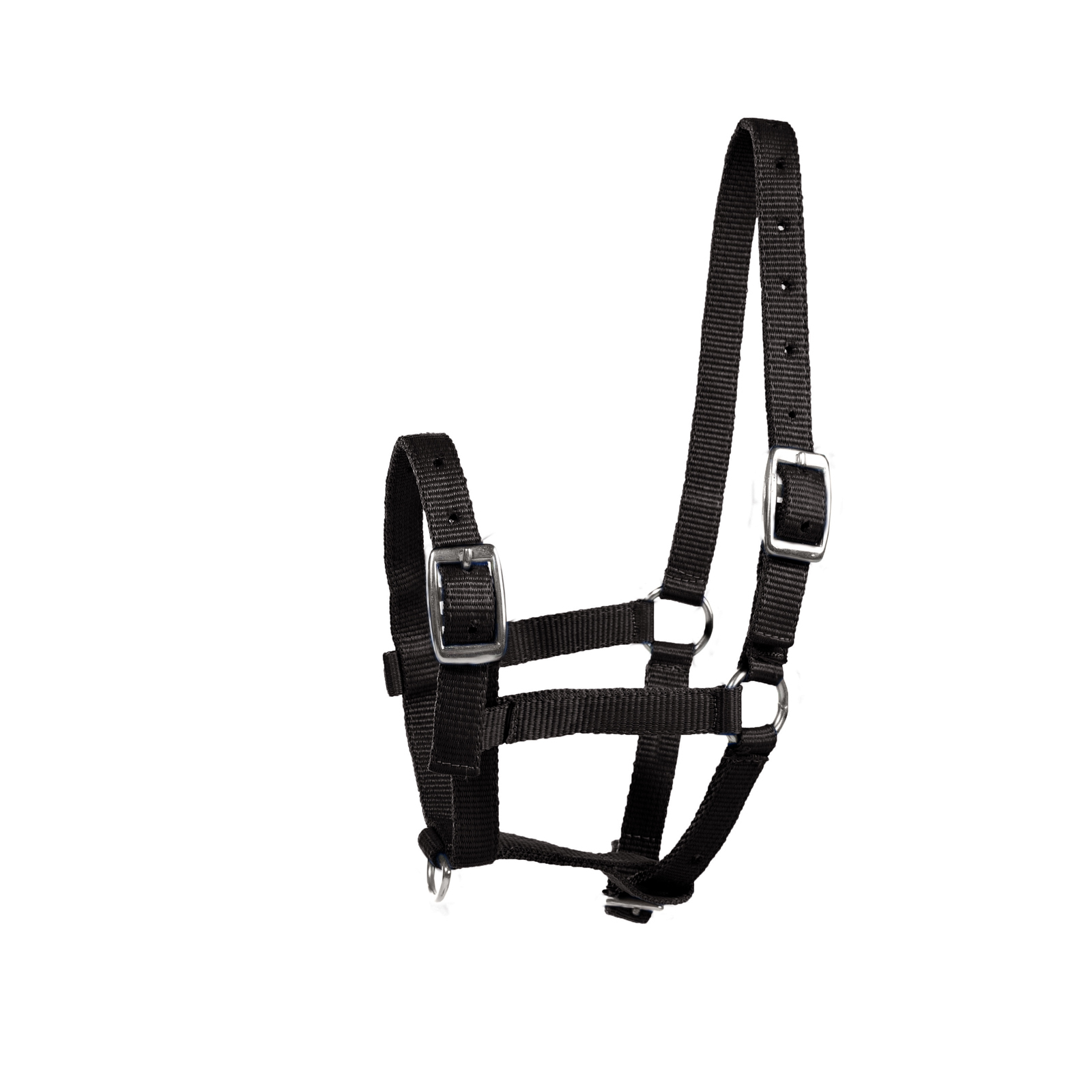 Black Horze Foal Halter f&ouml;lgrimma